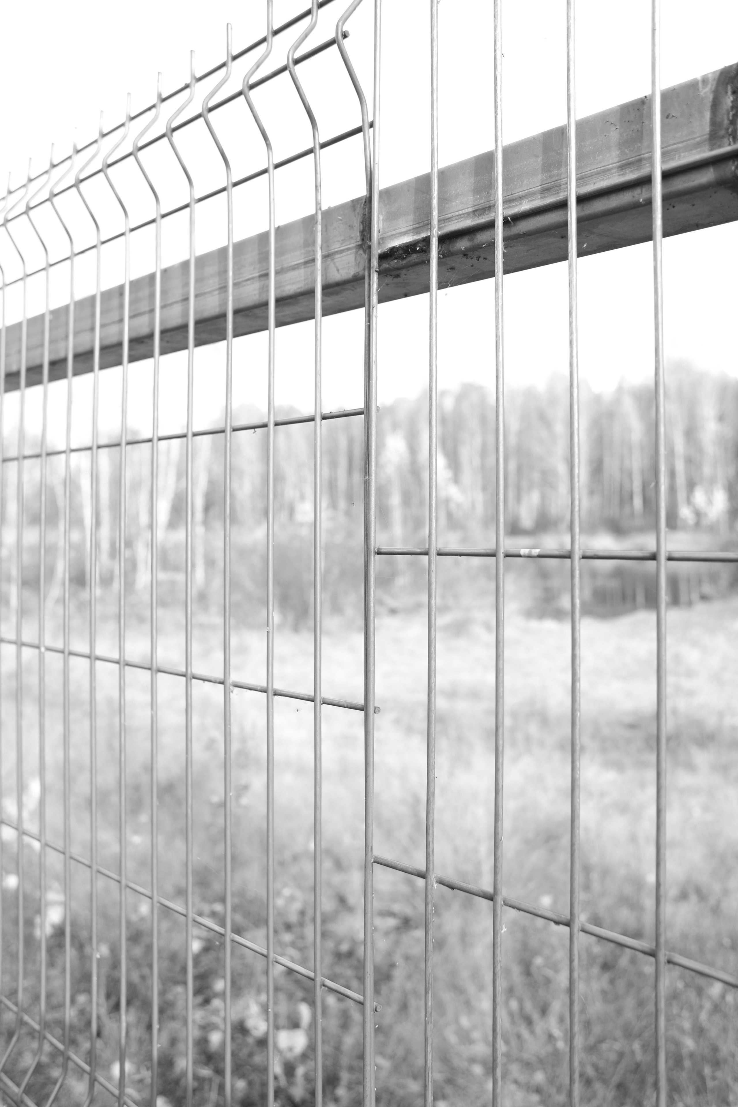 FEAR. Photographer Manakova Olga