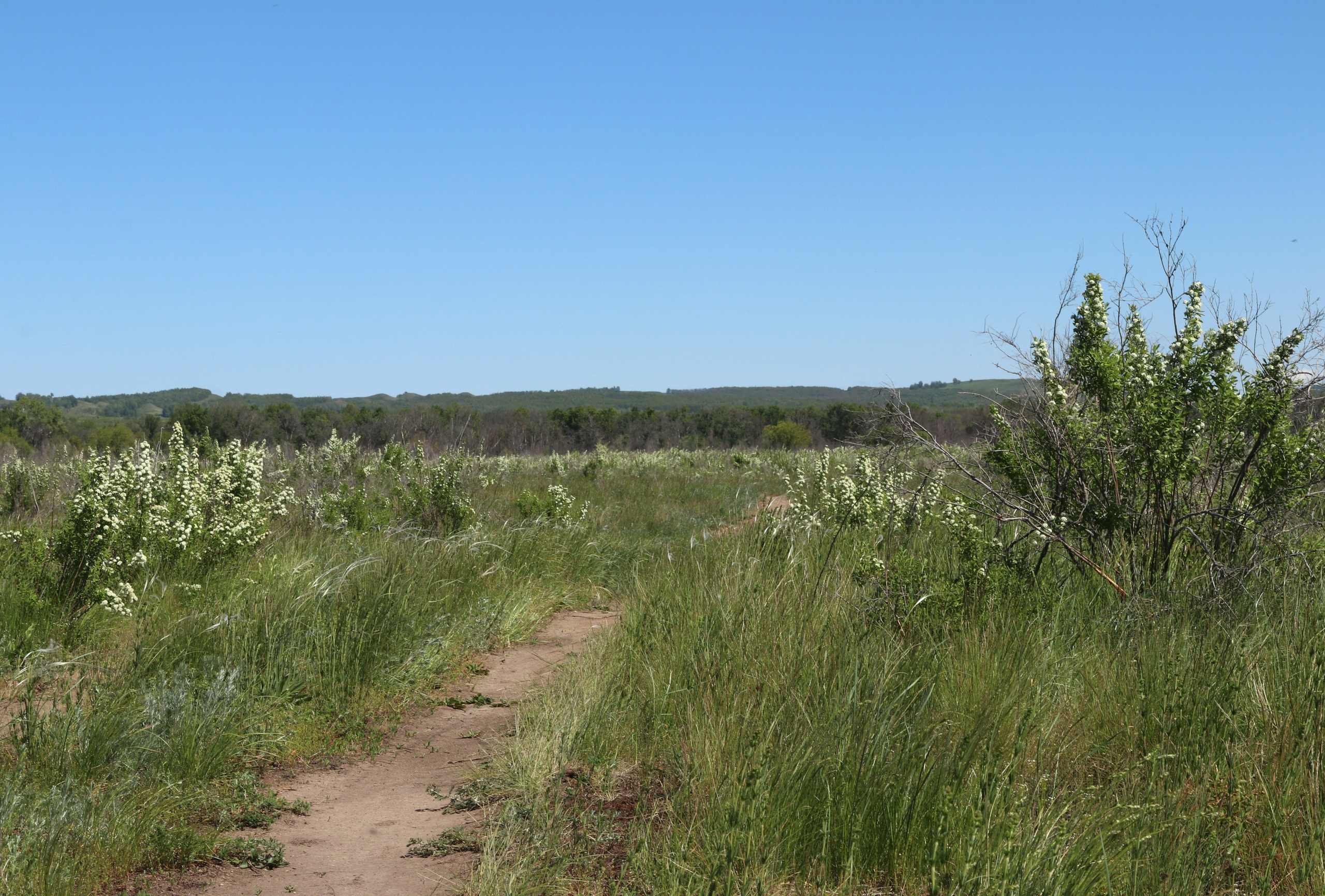 Велопоход Уфа — Мелеуз. Май 2024. Путешественник-фотограф из Санкт-Петербурга Татьяна Свистулина