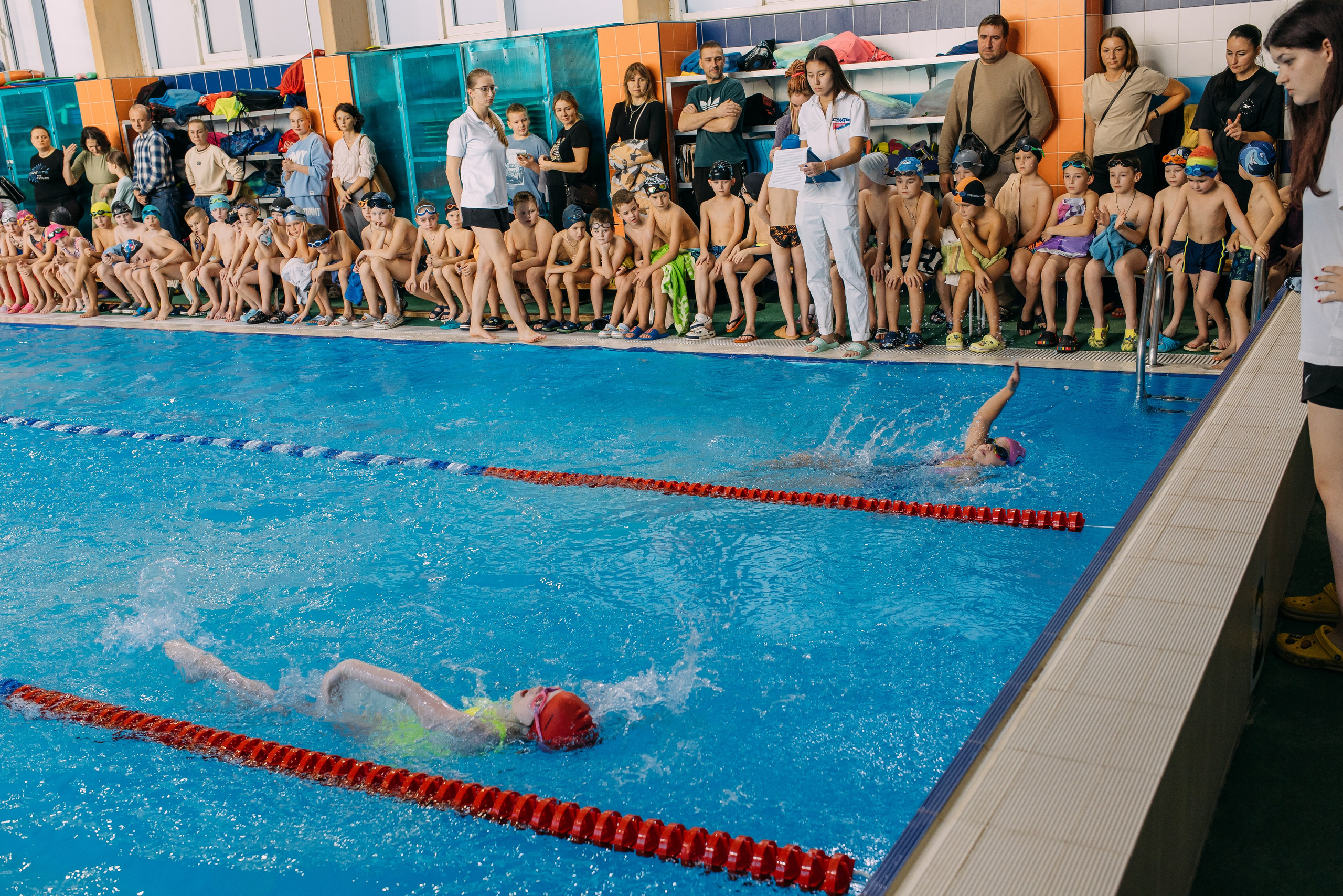 Соревнования по плаванию. Семейный фотограф в Волгограде Надежда Головко