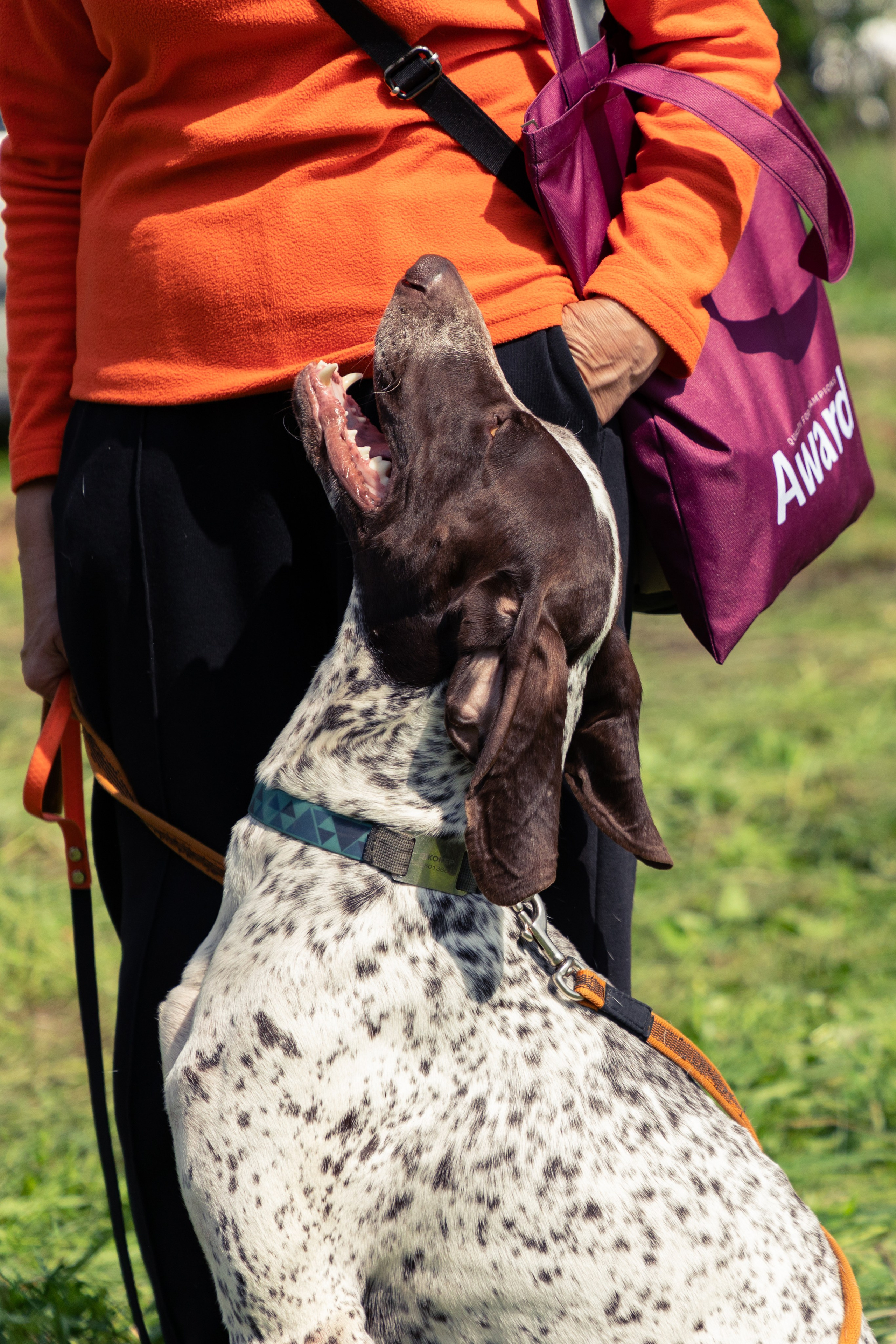 ДПСО «ЛизаАлерт». Главная