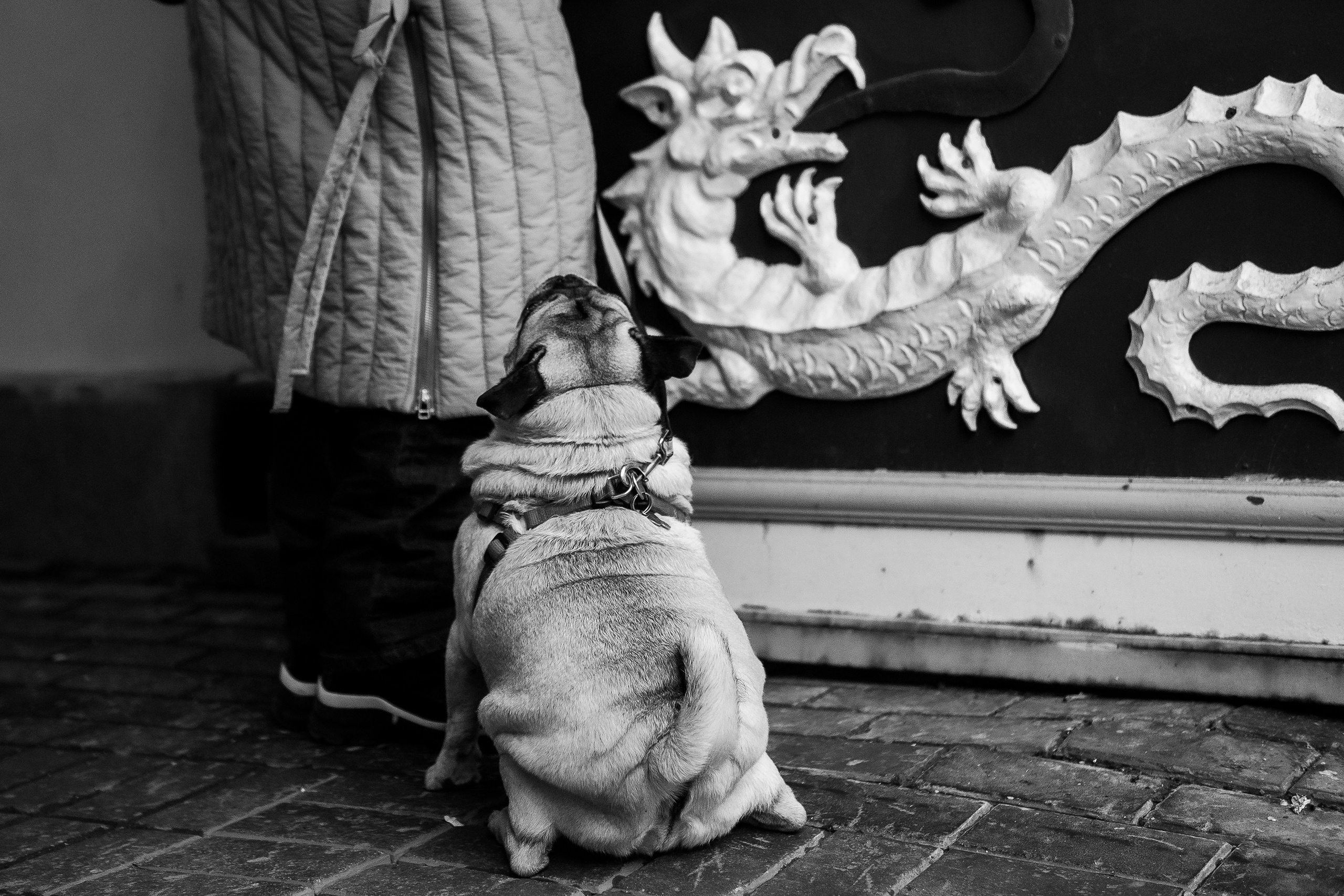 Ольга и Потапум. Прогулка к чайному дому. Семейный Фотограф в Москве Ирина Хохлова