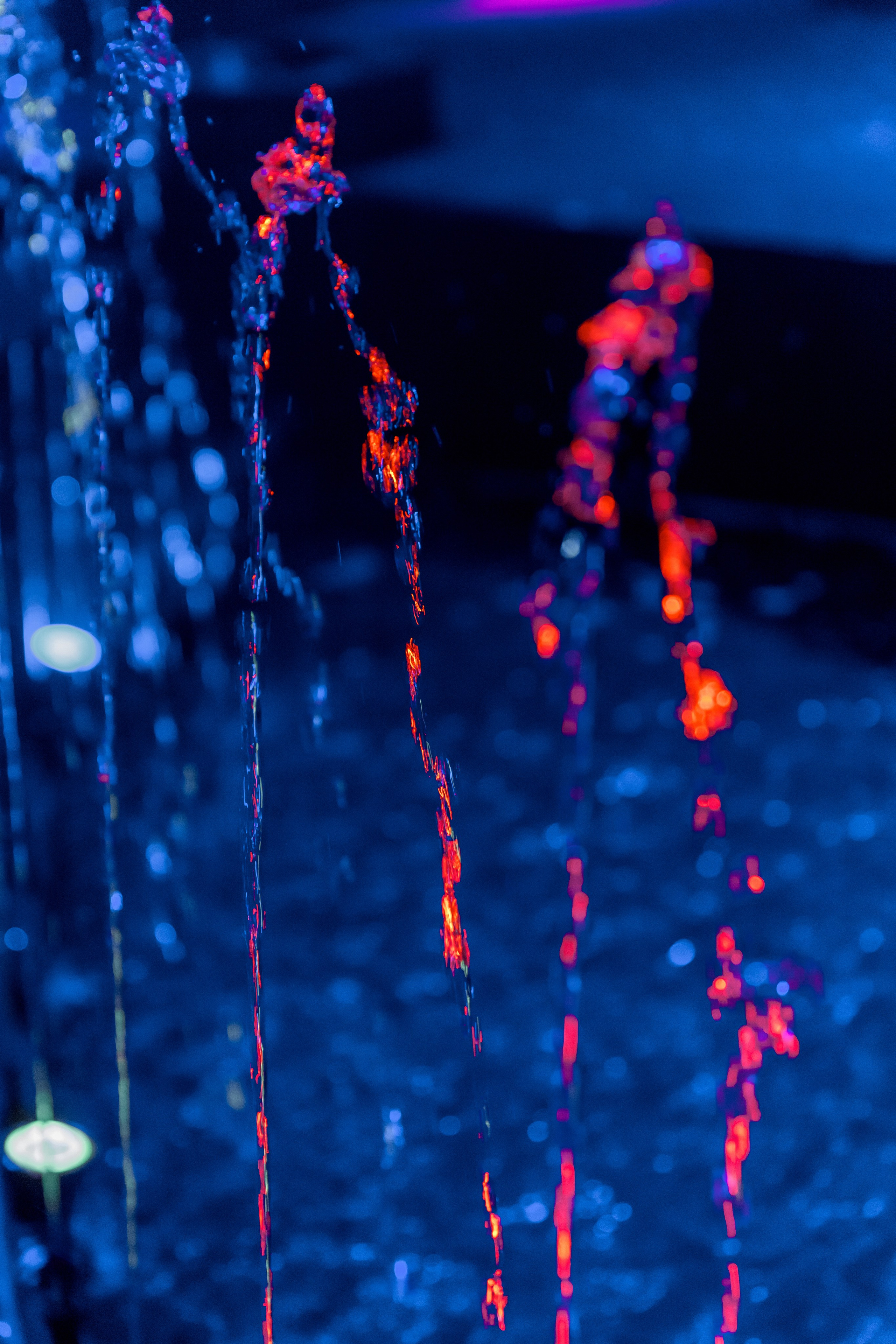 Цирк на воде. Свадебный фотограф Иркутск, репортажный фотограф Иркутск