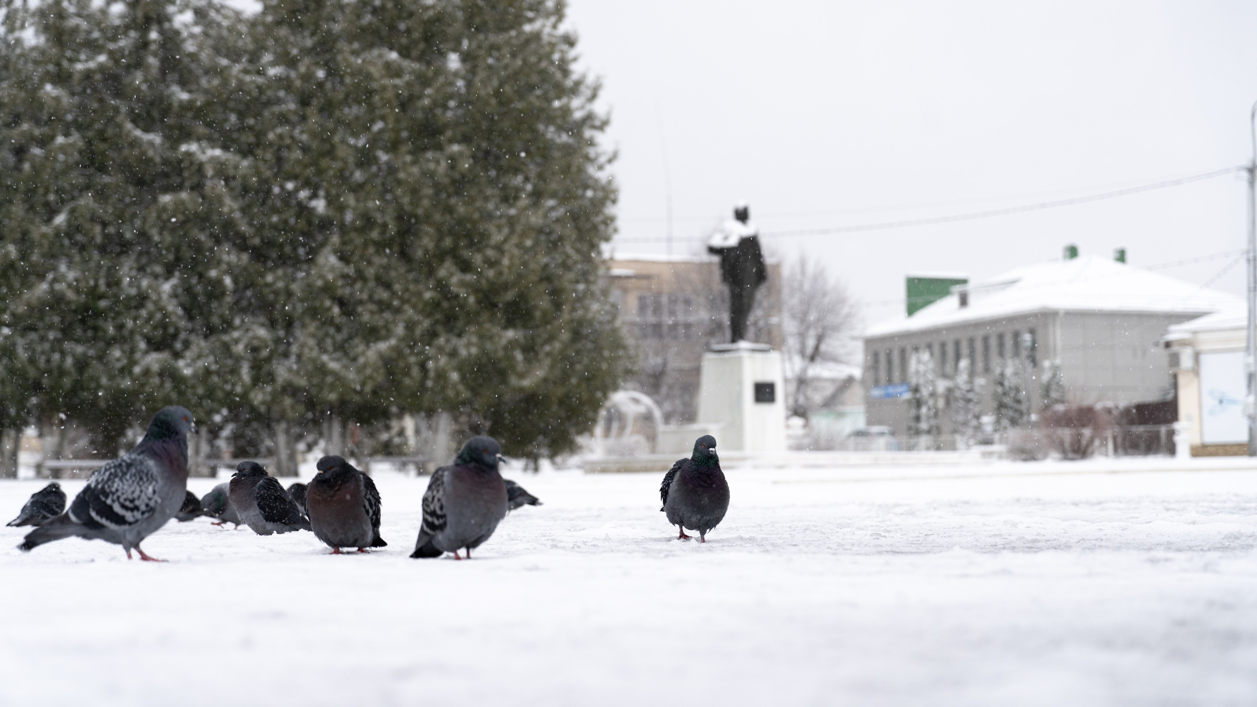 Таруса. ПОБУДЬ ЗДЕСЬ И ЦЕЛЕЕ БУДЕТ ЭТОТ МИР