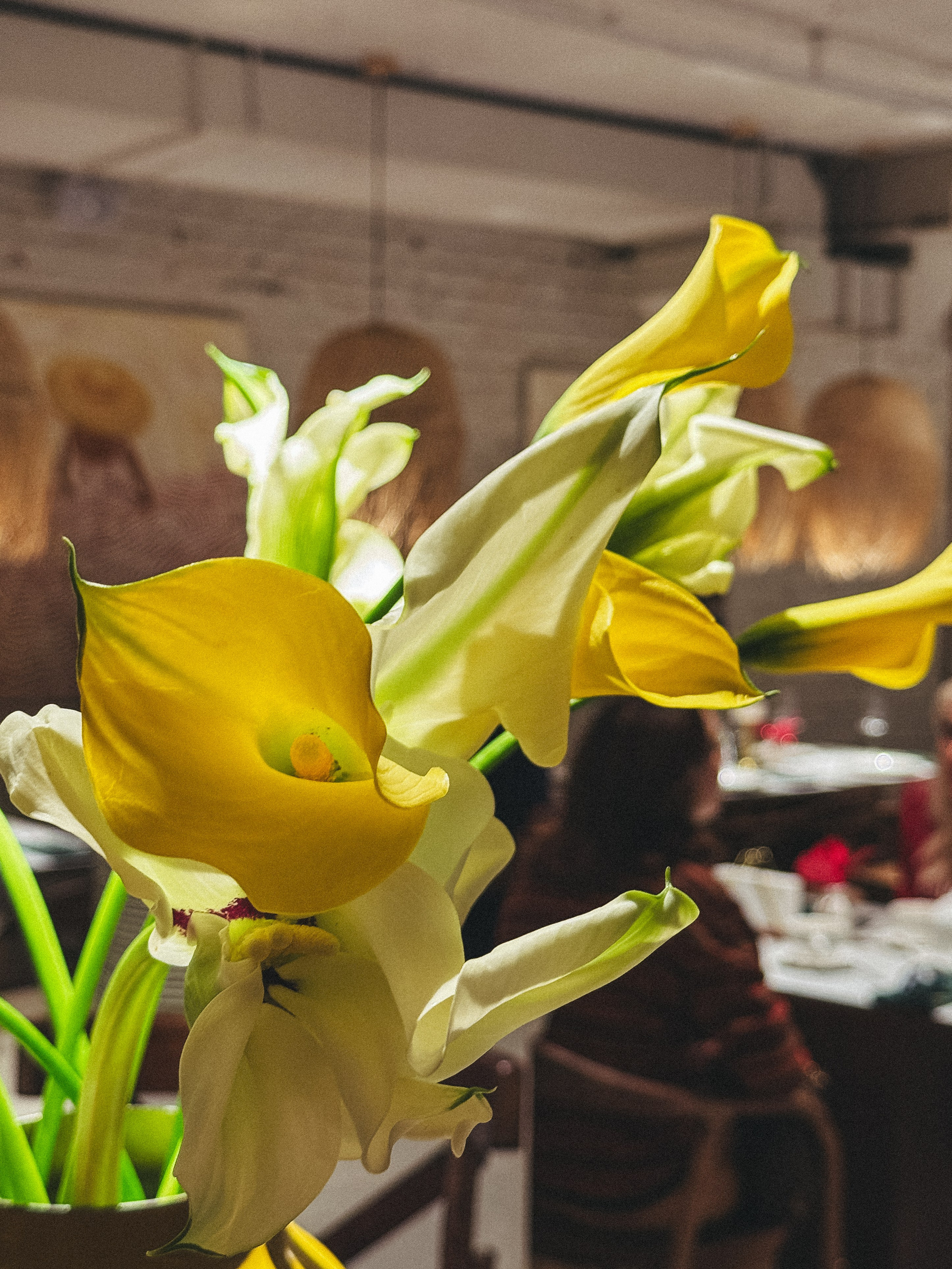 Osteria Mario. Александра Мельниченко/ Бегающий фотограф