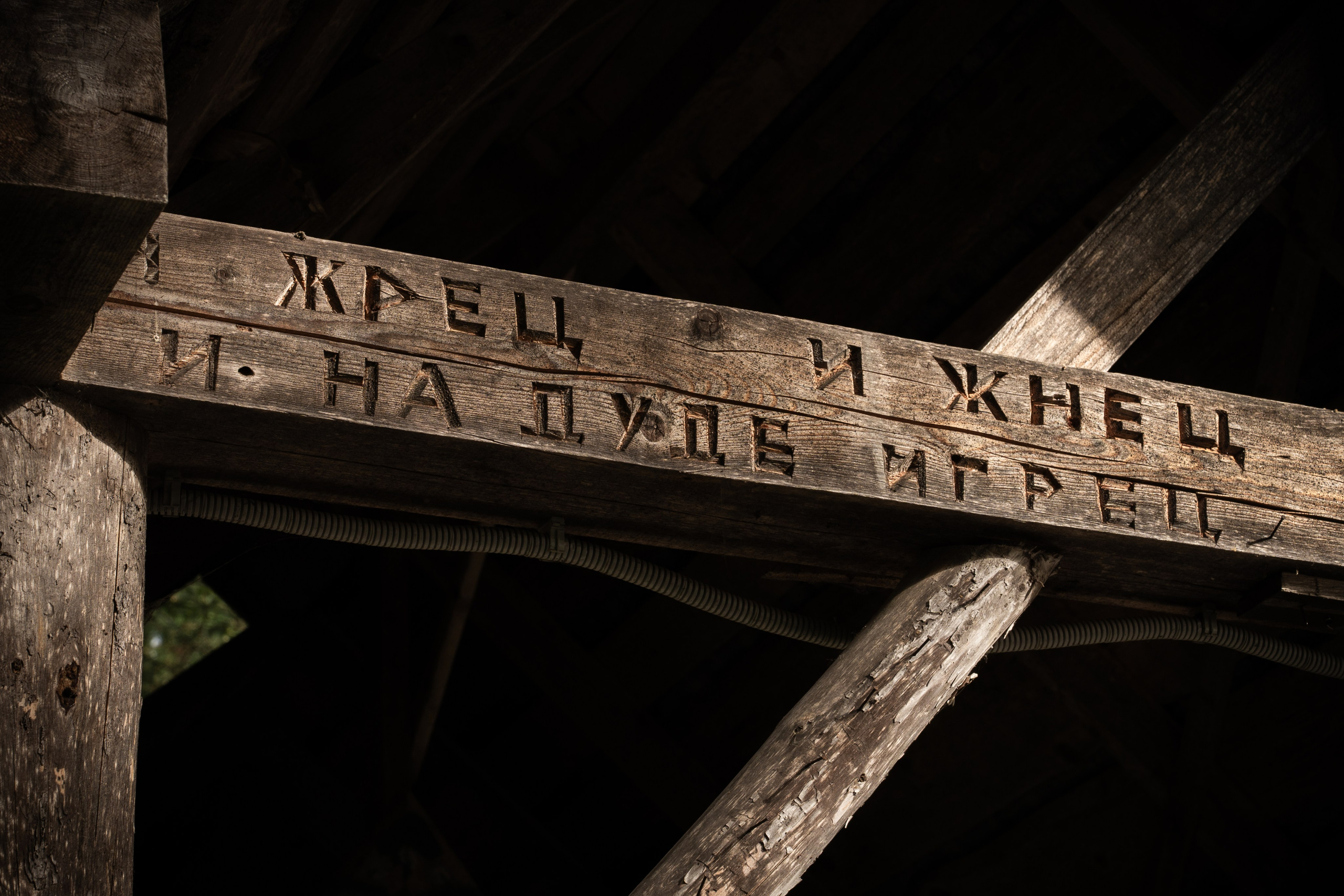 Ковчег: ролевая игра «1812: Война и Мир». Polypolarphotography