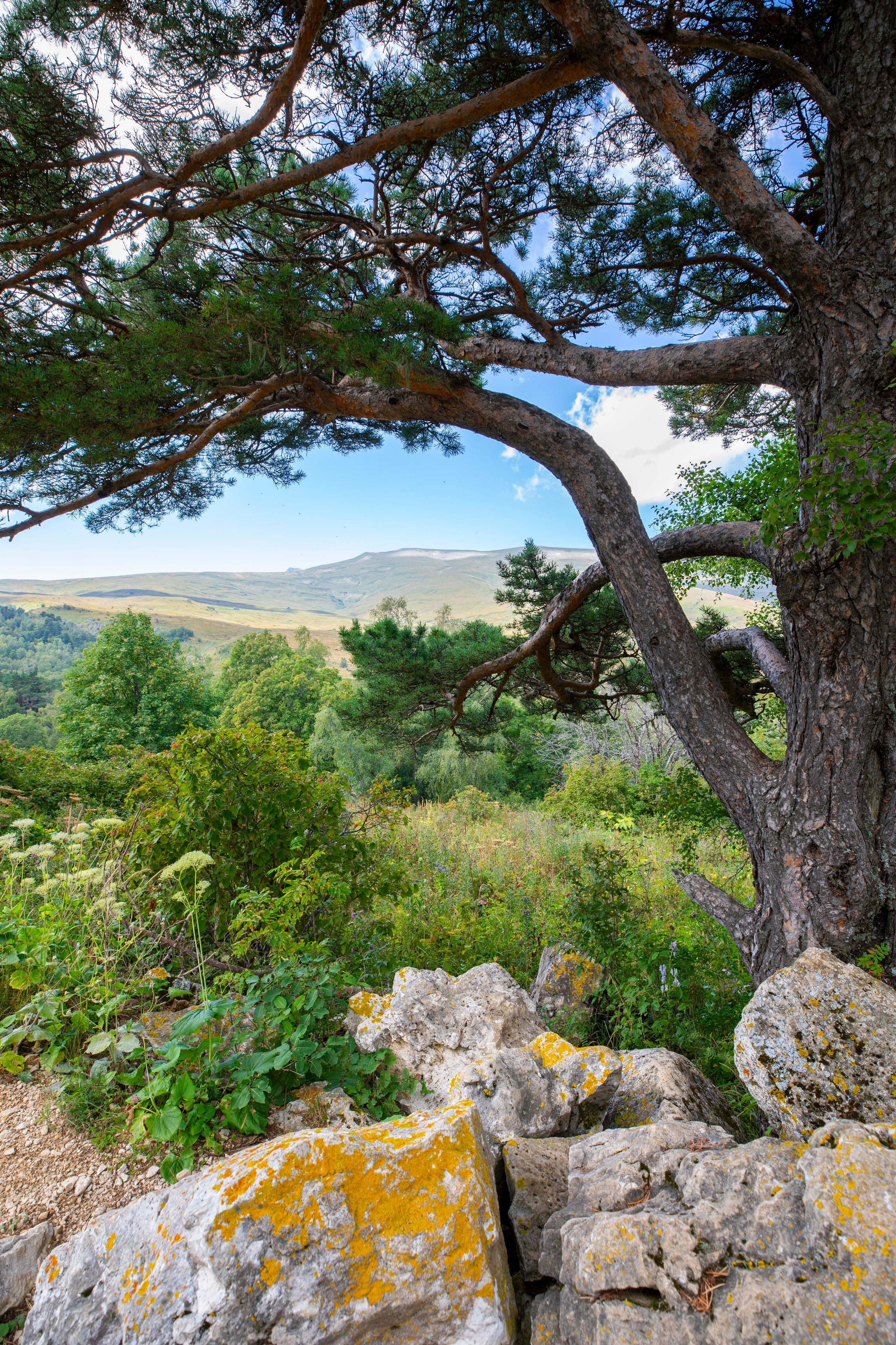 Лаго-Наки. Фото о жизни
