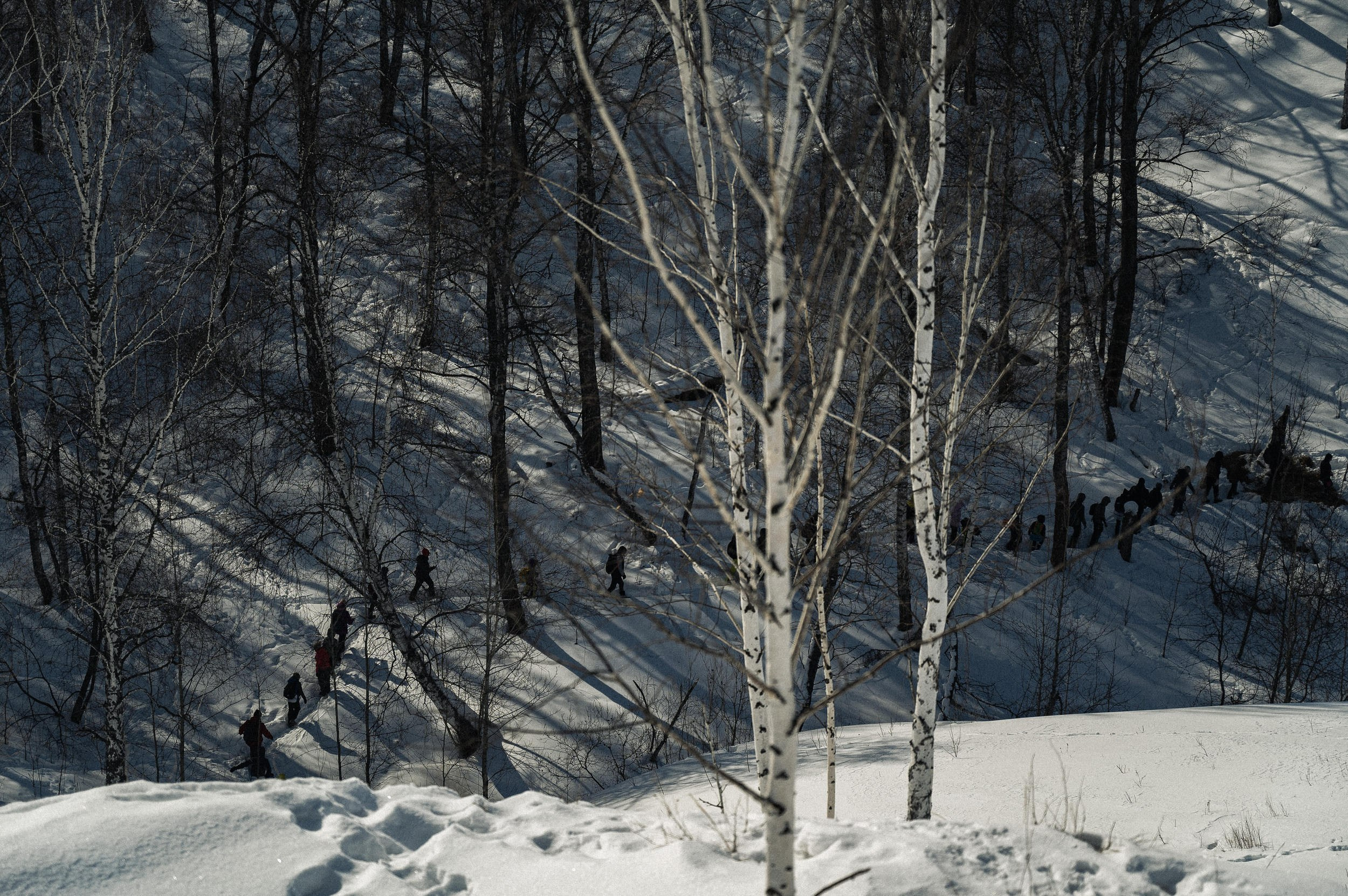Зимний поход. Евгений Нисковских — свадебный и репортажный фотограф в Тюмени