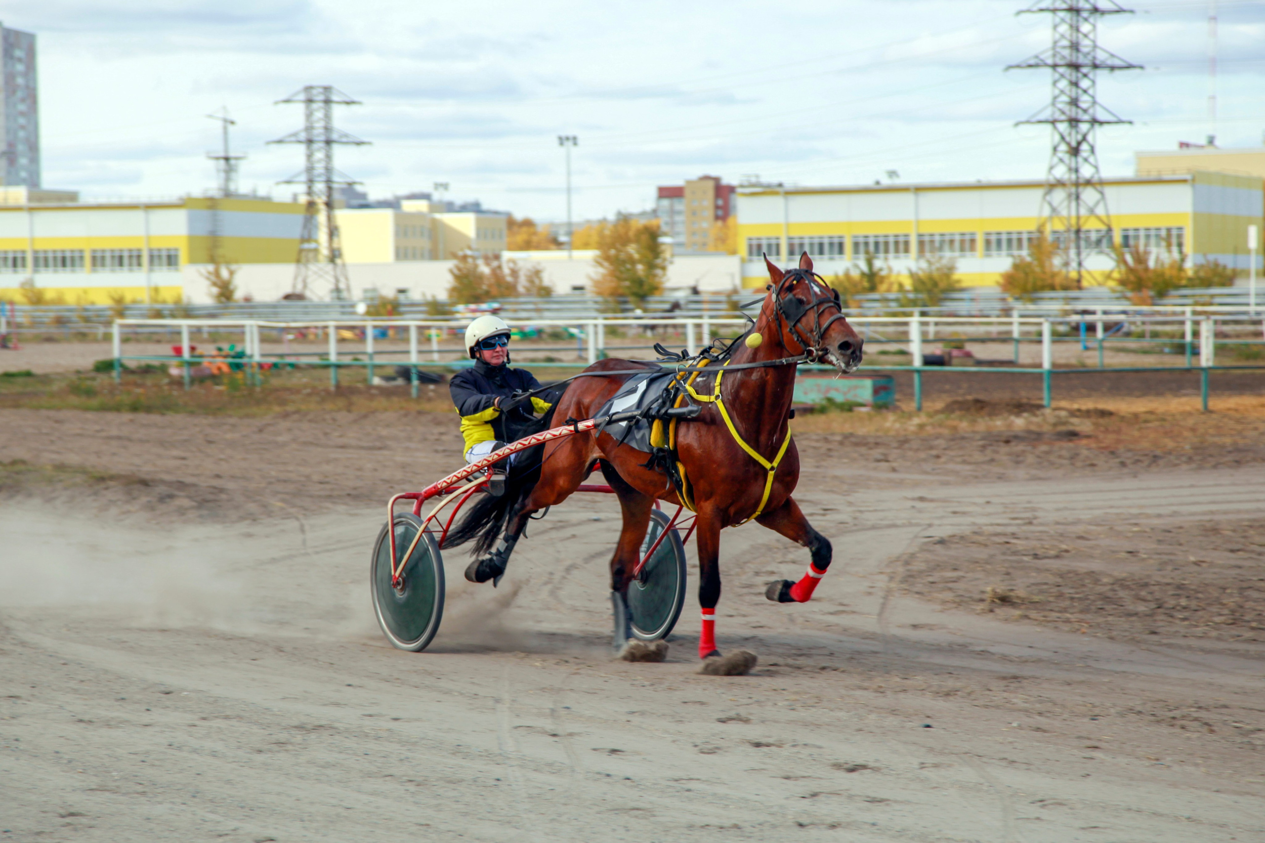 Спорт. Репортажный фотограф Анастасия Богданова из Тюмени