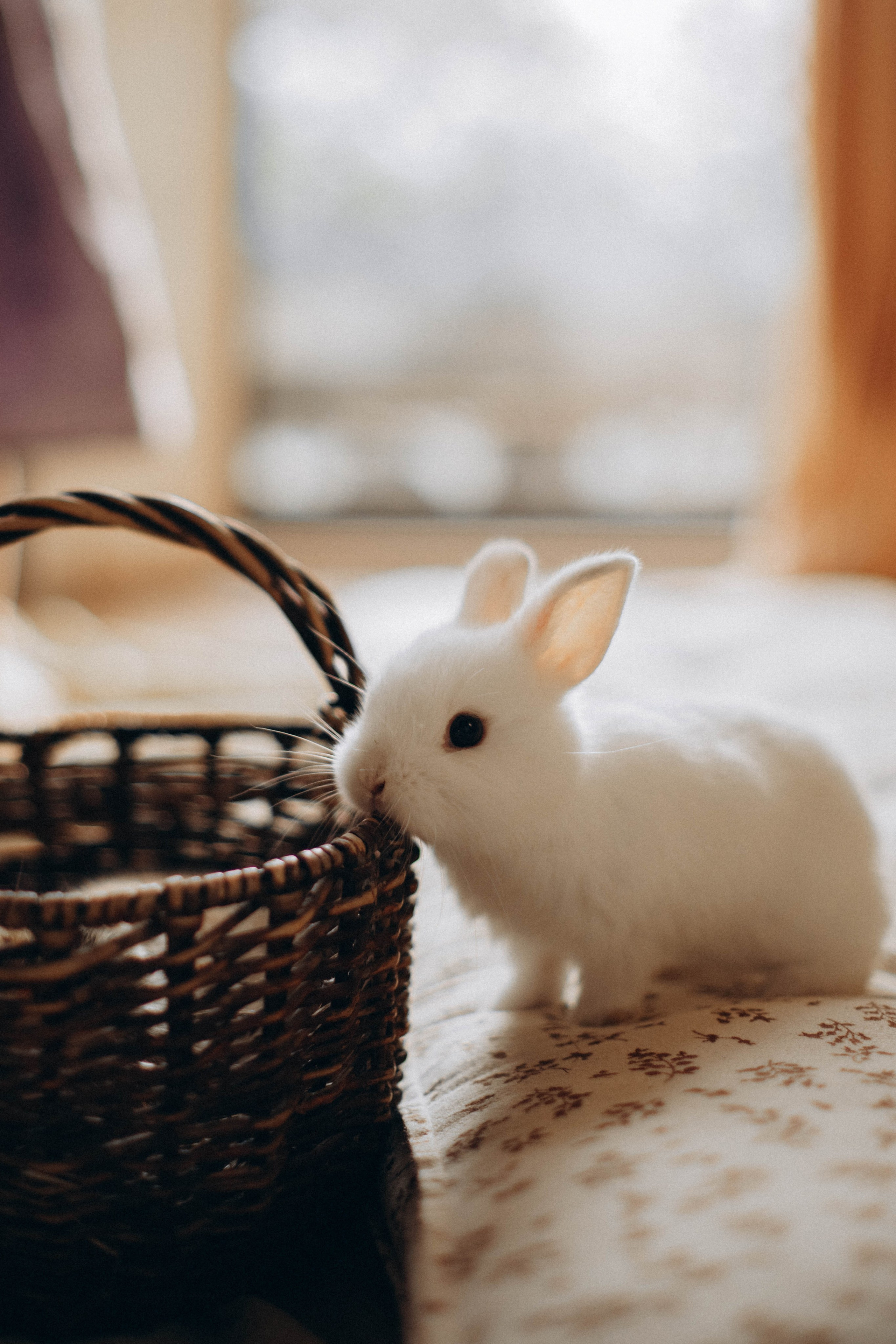 Малышка Лия и утята. Семейный фотограф Москва Ирина Малышева