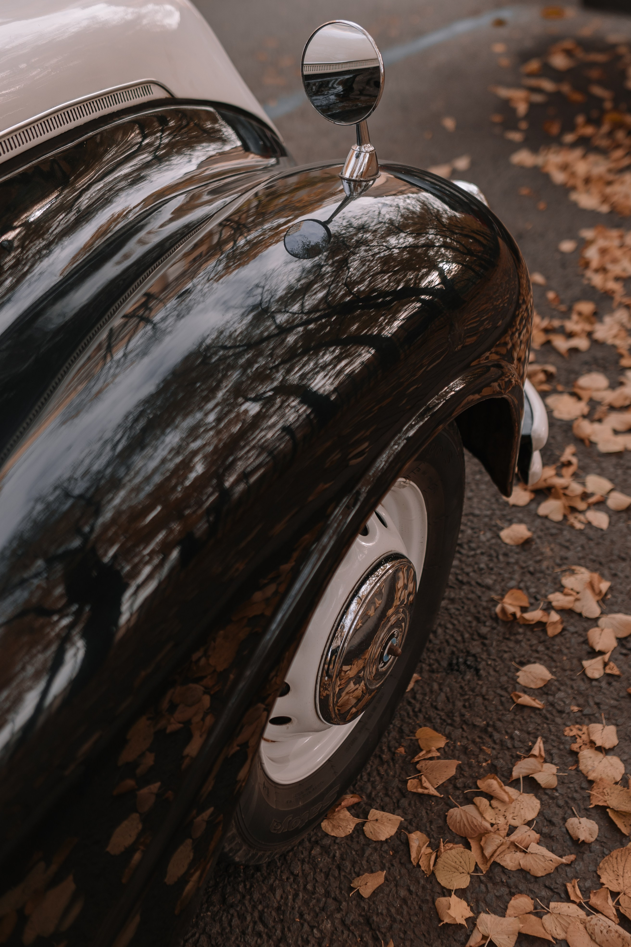 Свадьба Яны и Коли. Ваш фотограф в Санкт-Петербурге Татьяна Трухина