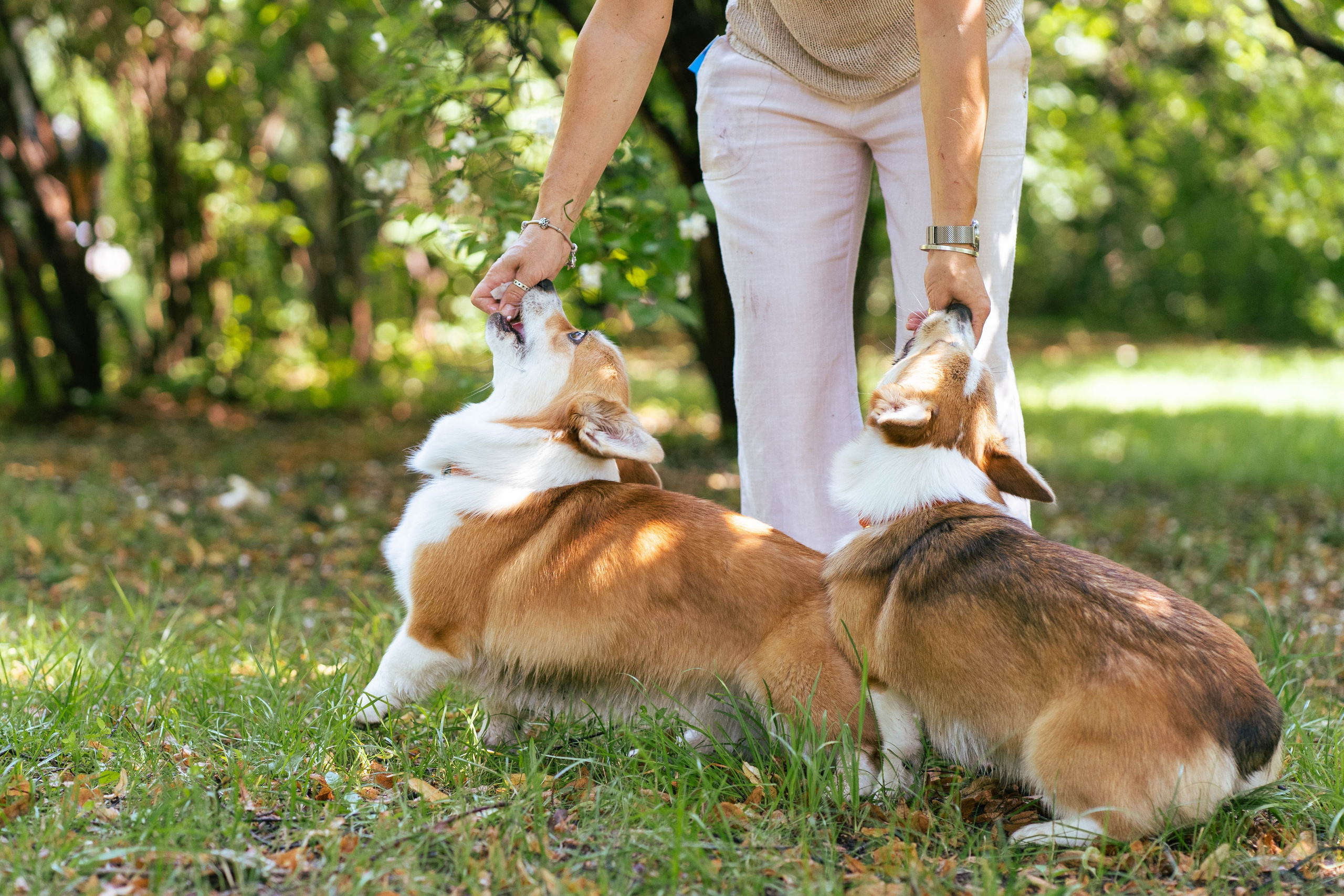 Ольга и коржики. Свадебный фотограф в Москве Анна Полушина