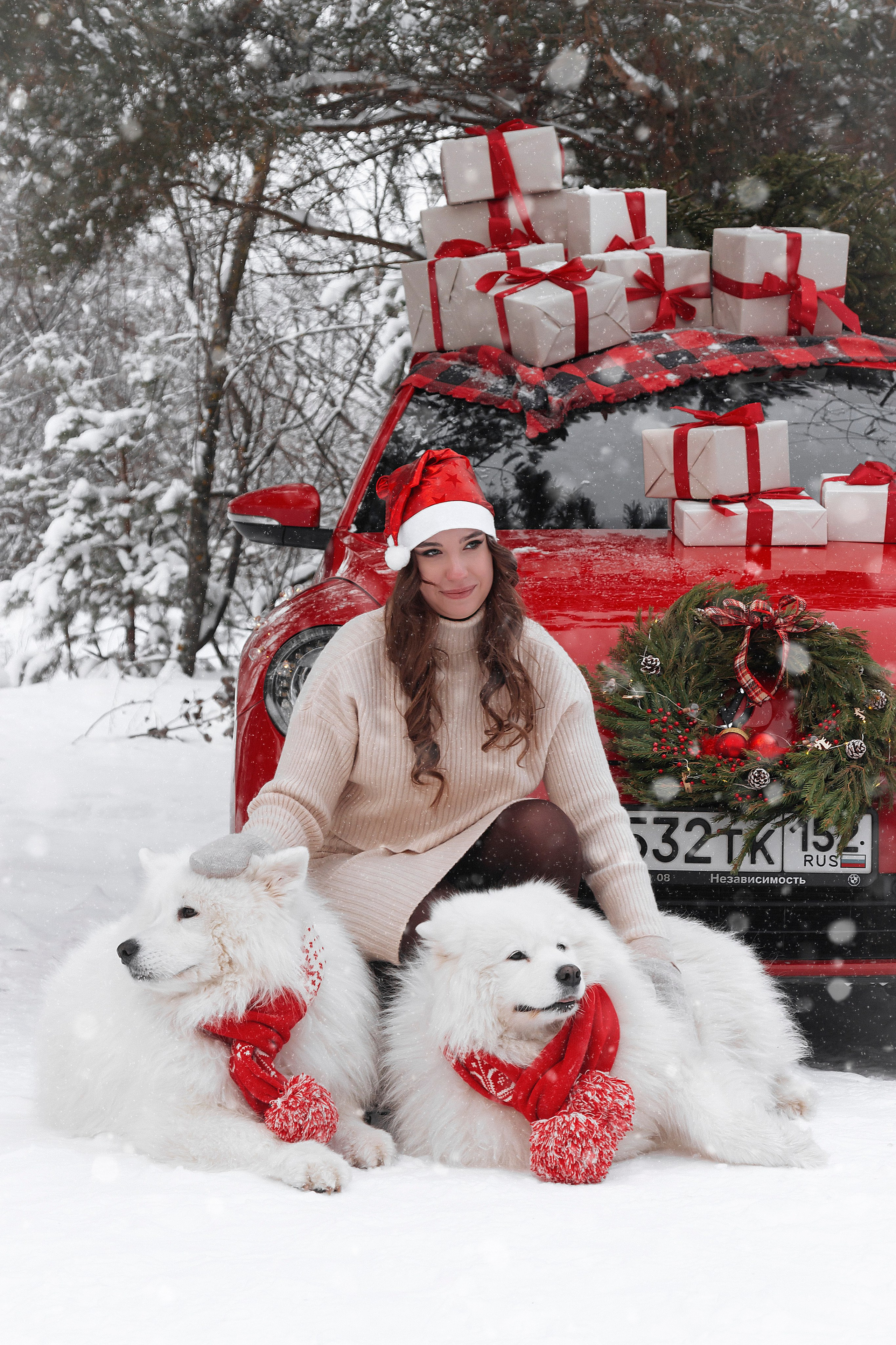 Новогодний красный жук. Фотограф Ольга Бобб Нижний Новгород