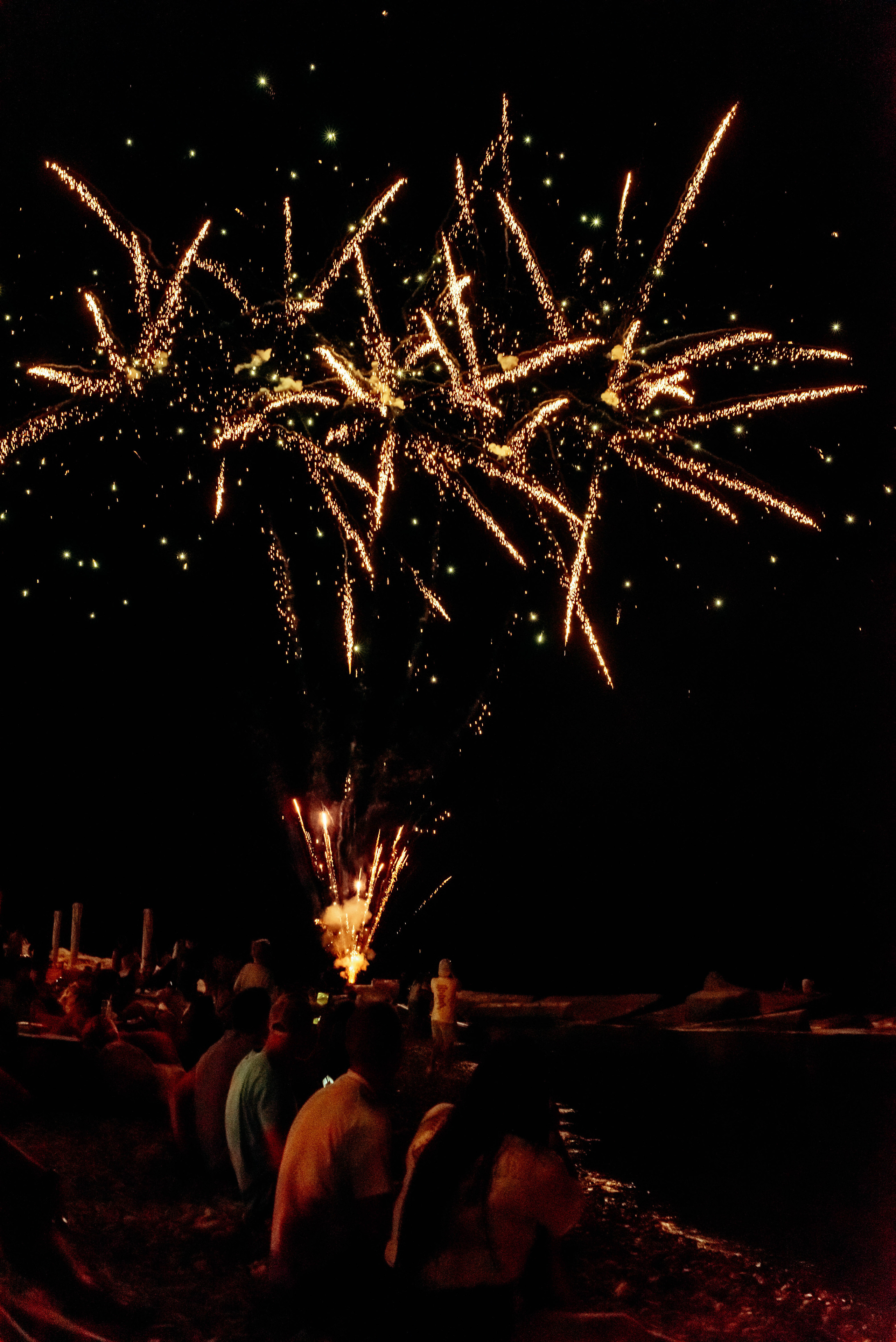 Hungry Bird. Фотограф Москва Александра Клименко
