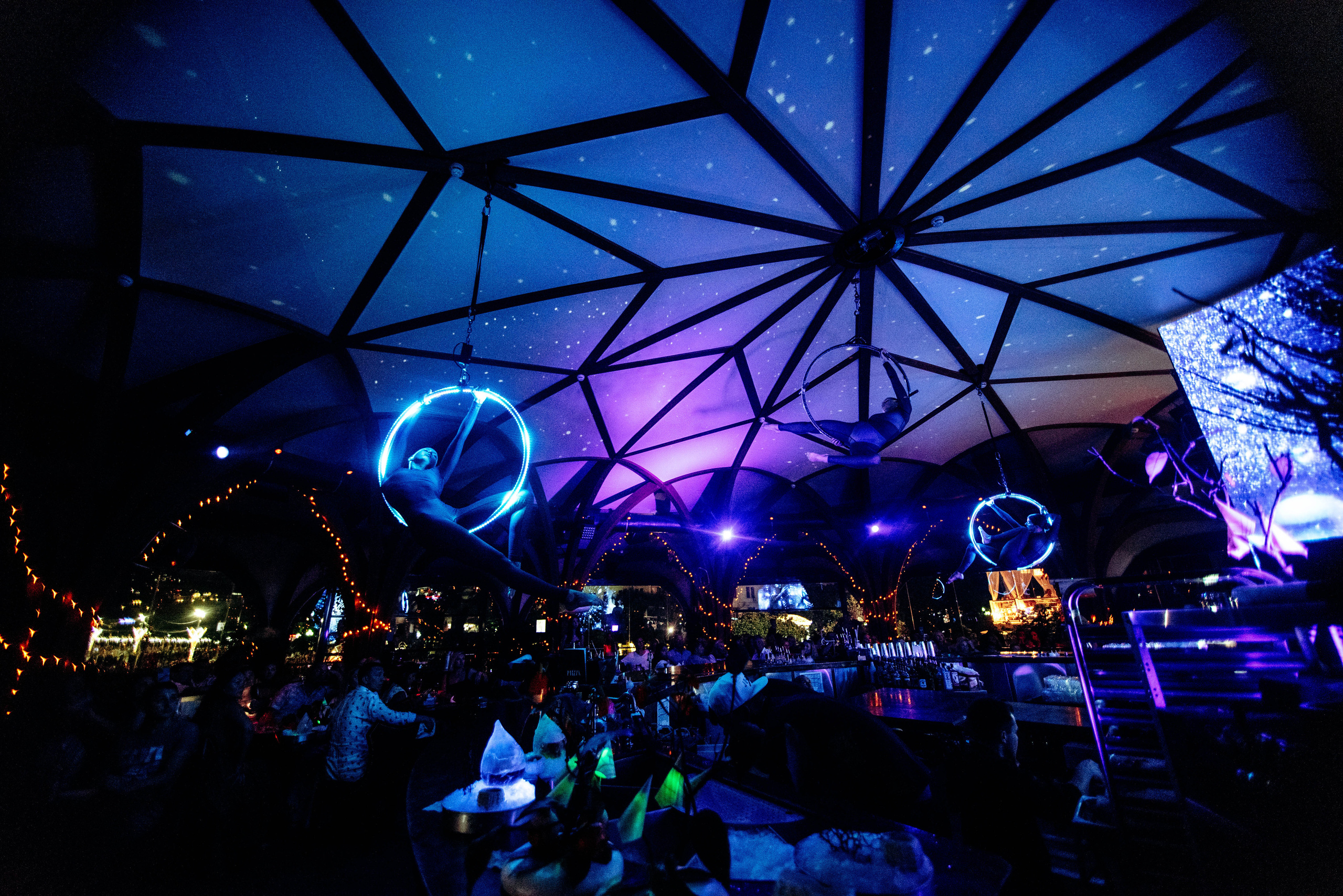 Птица. Ялта. Фотограф Москва Александра Клименко