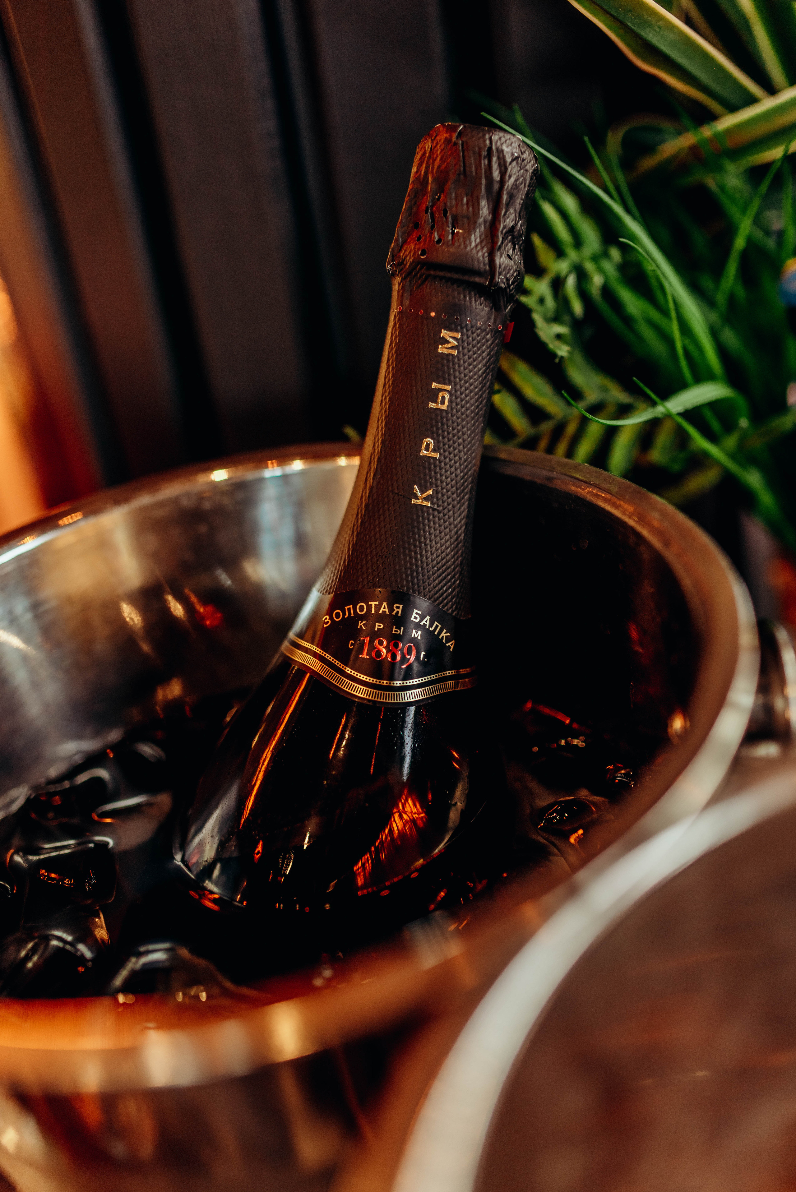 Айвазовский. Ресторан. Фотограф Москва Александра Клименко