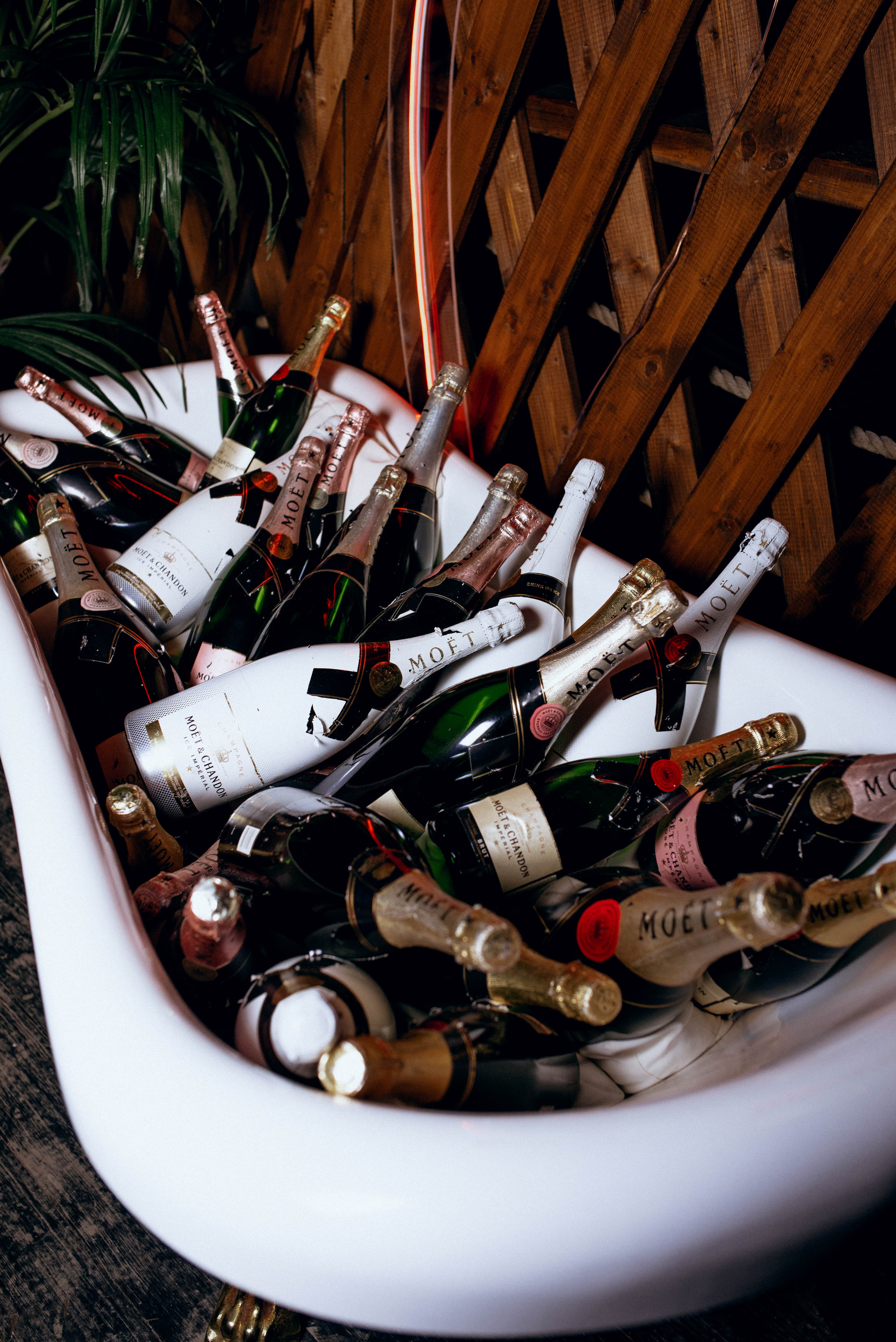 Шура.Чайка. Фотограф Москва Александра Клименко