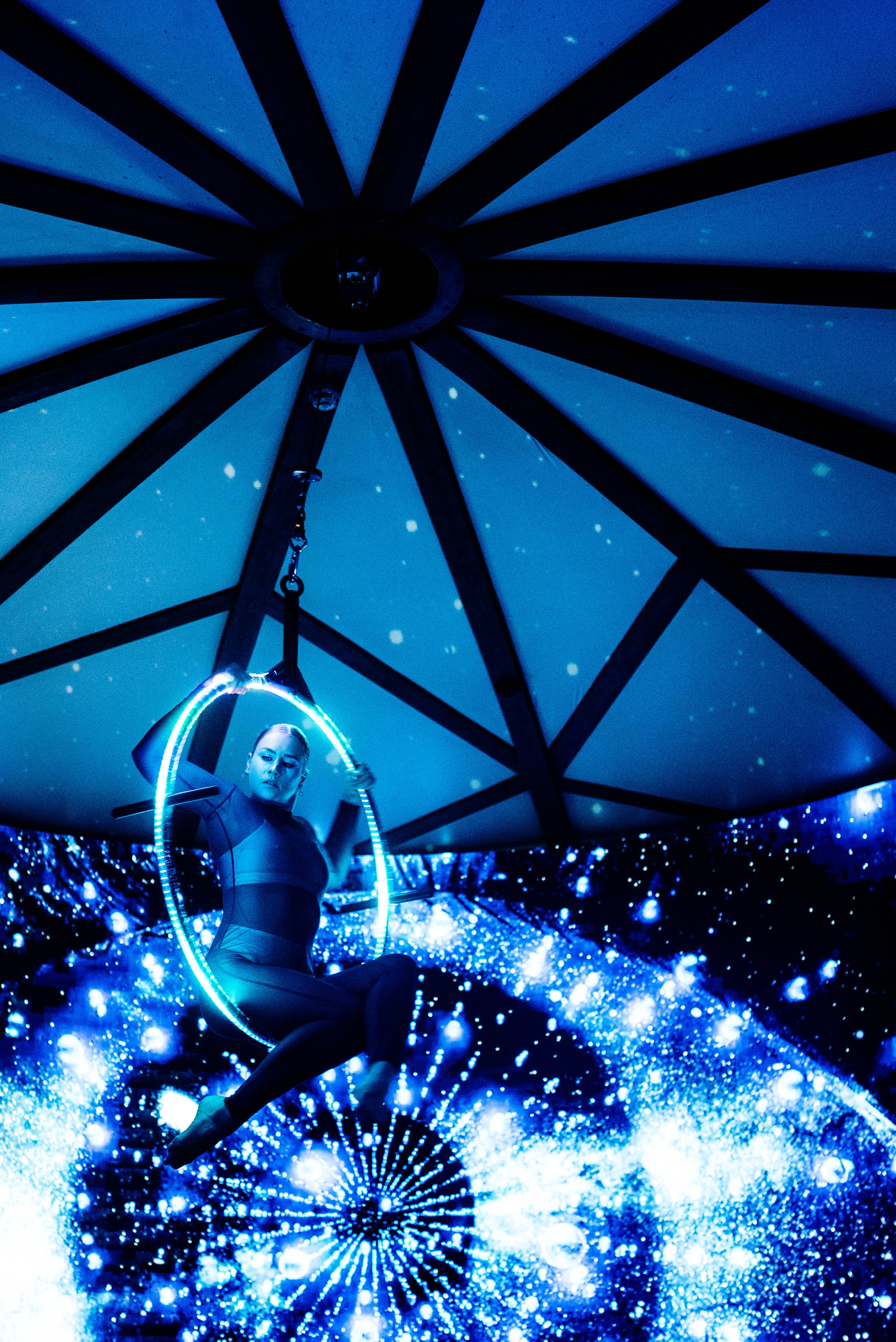 Птица. Ялта. Фотограф Москва Александра Клименко