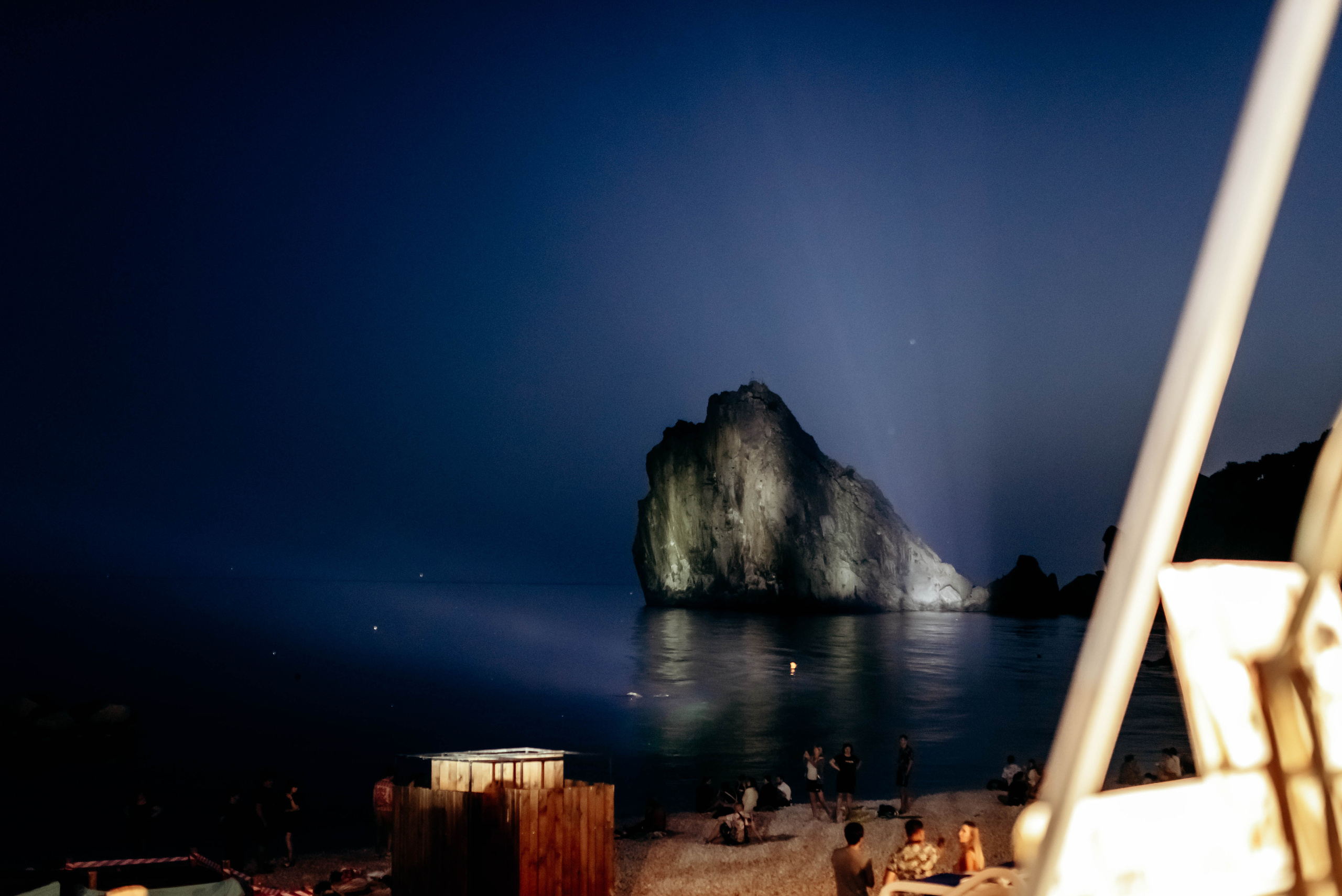 Hungry Bird. Фотограф Москва Александра Клименко