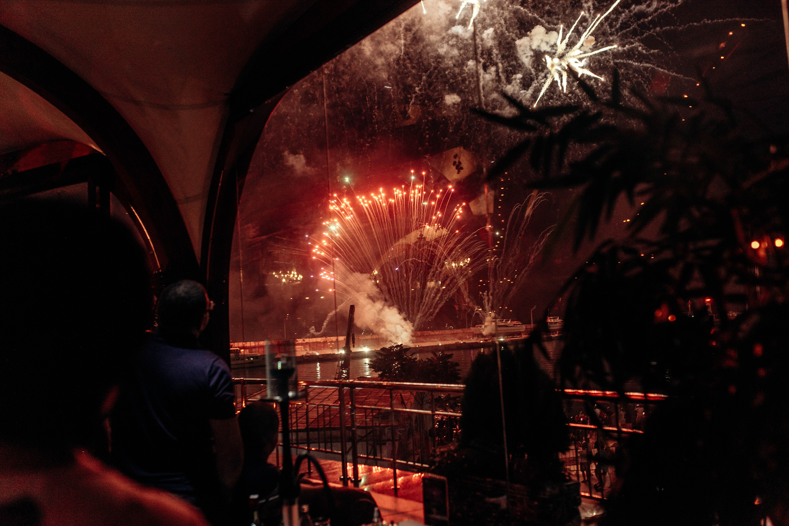 Птица. Ялта. Фотограф Москва Александра Клименко