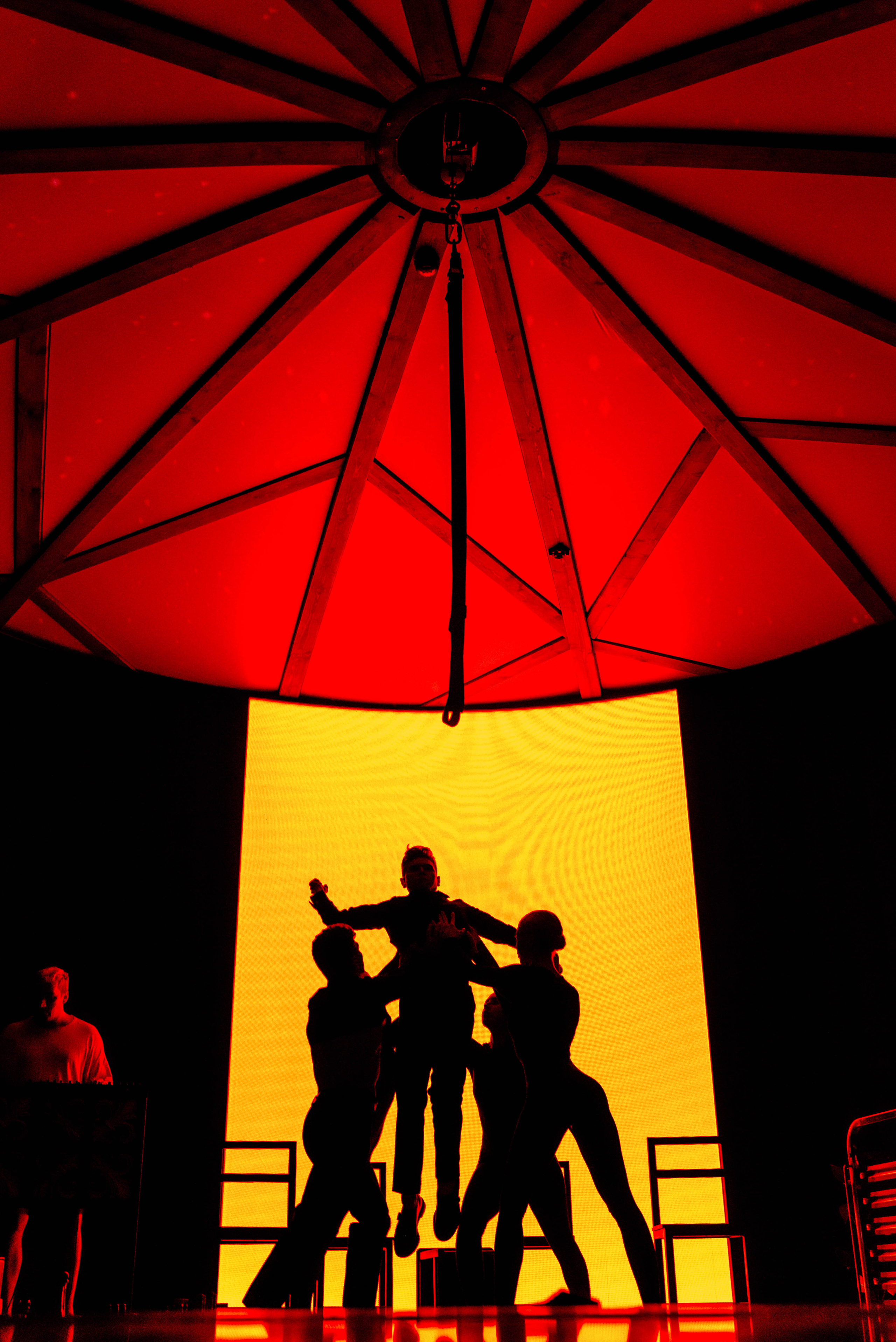 Птица. Ялта. Фотограф Москва Александра Клименко