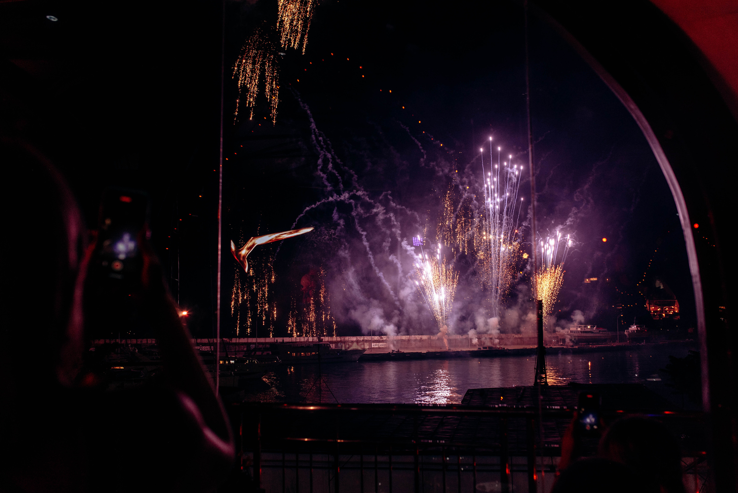 Птица. Ялта. Фотограф Москва Александра Клименко