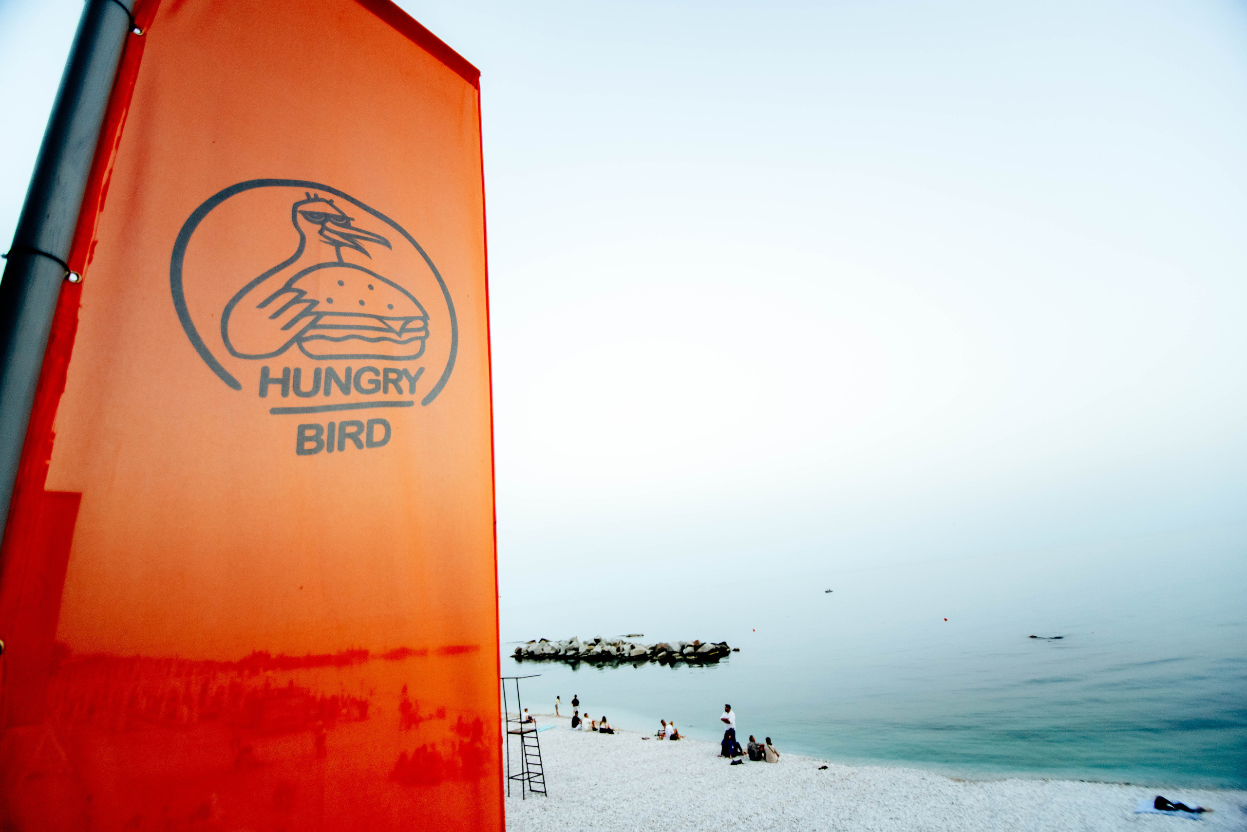 Hungry Bird. Фотограф Москва Александра Клименко