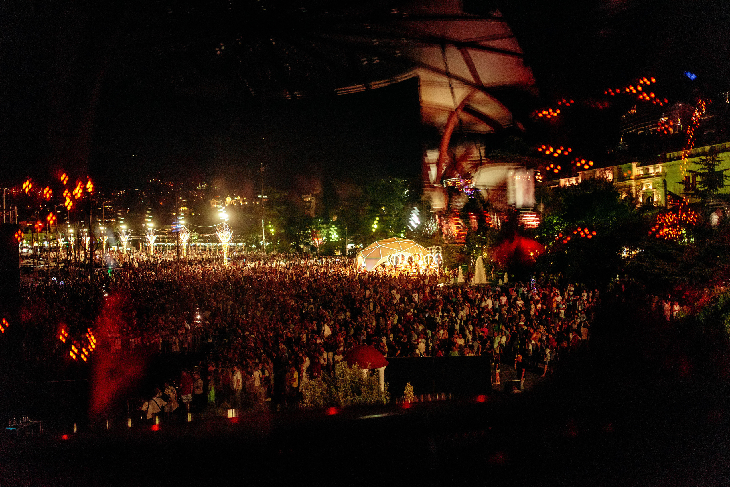 Птица. Ялта. Фотограф Москва Александра Клименко