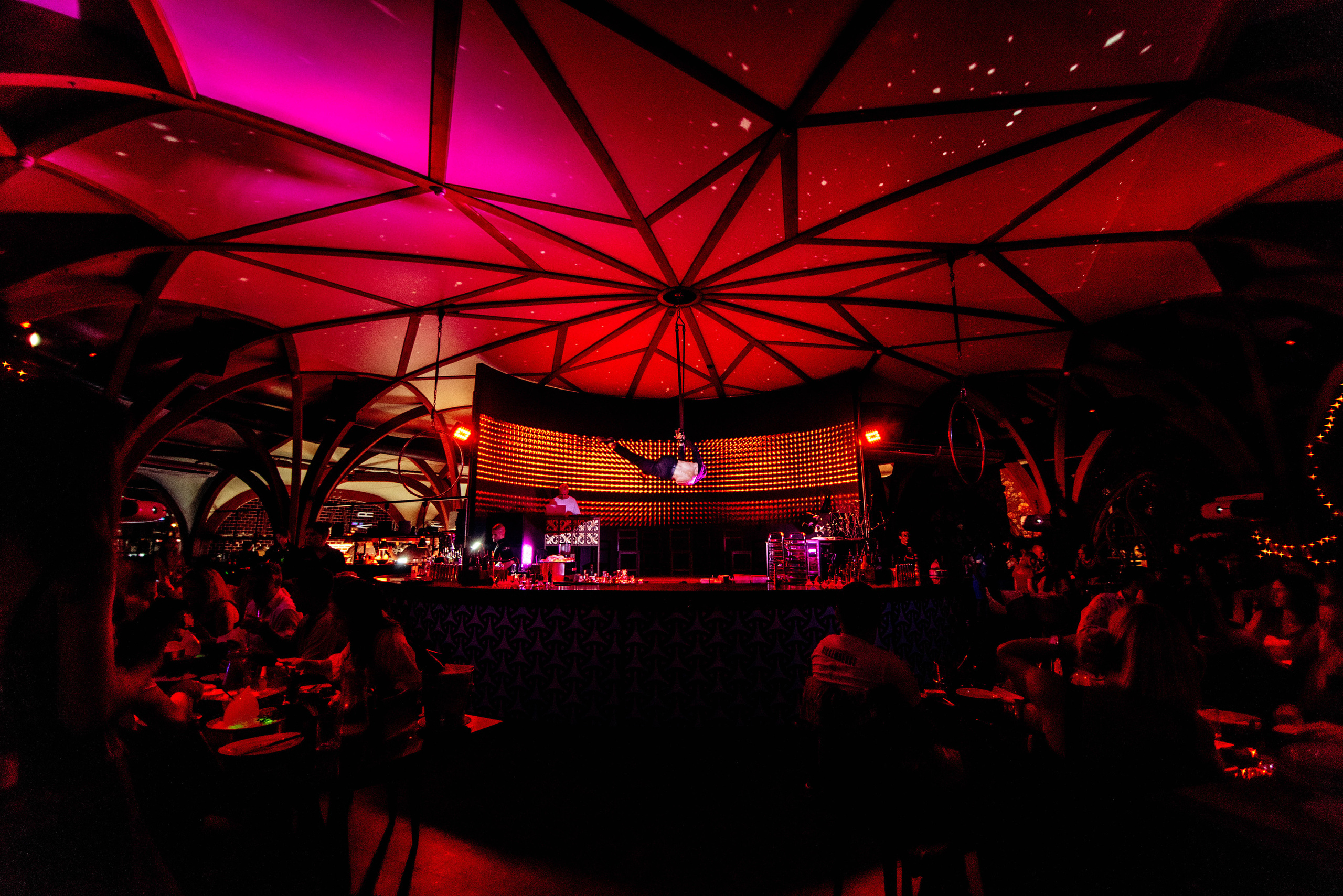 Птица. Ялта. Фотограф Москва Александра Клименко