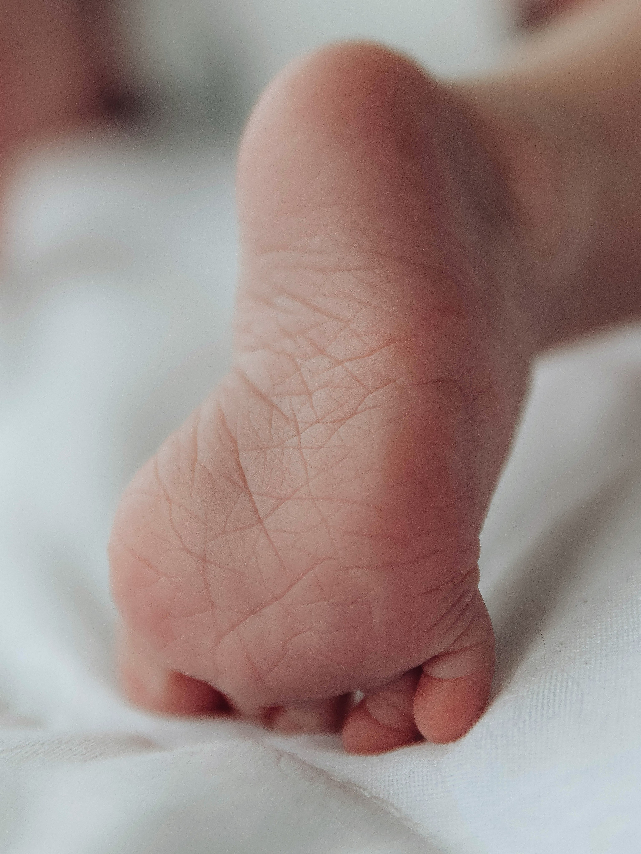 Любовь и котики. Мультифотограф Динара Ахмедзянова