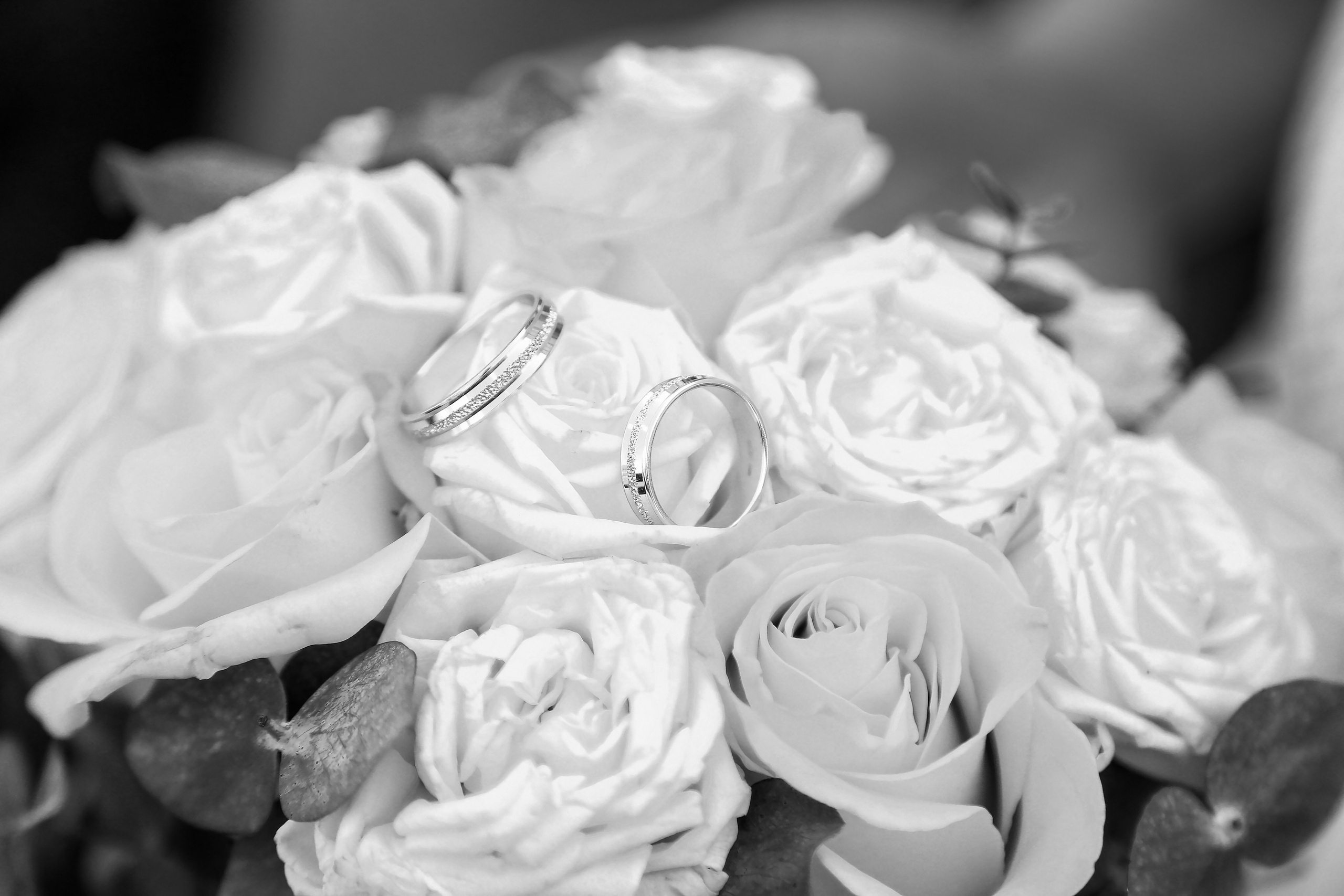 Нина и Эмиль. Семейный фотограф Фотосессия беременности  Екатеринбург Елена Луткова