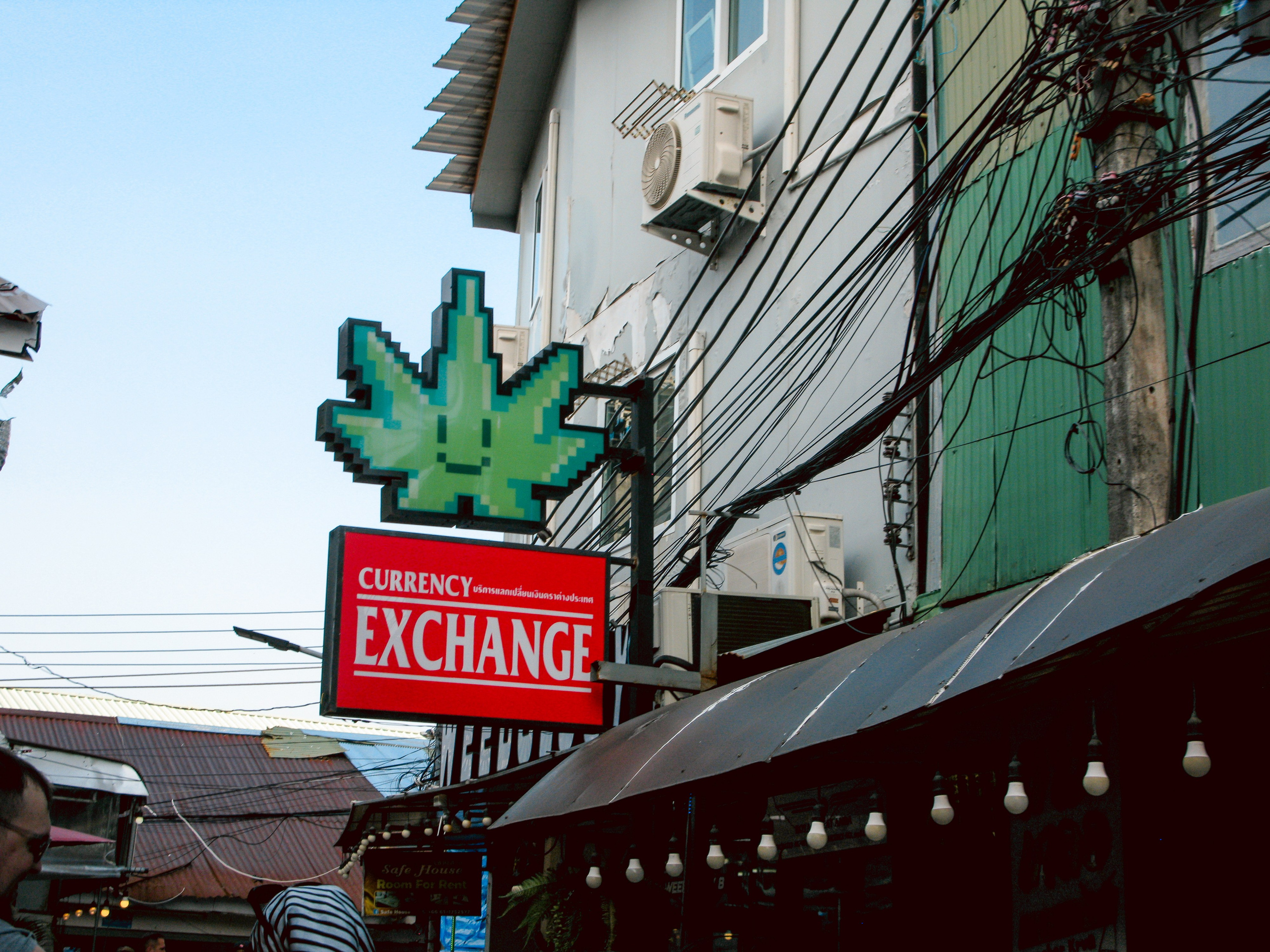 Thai. Фотограф Миланазавр