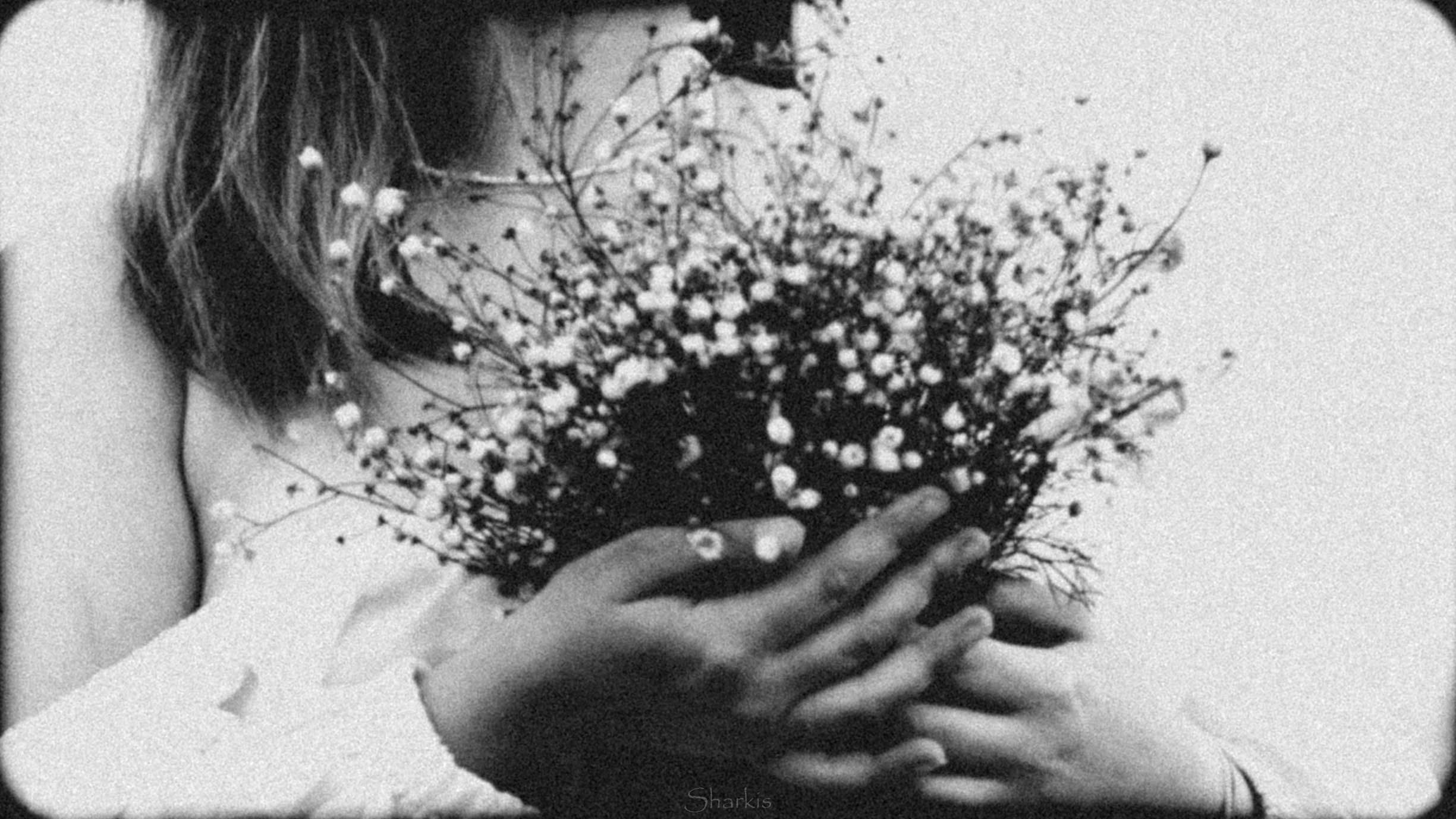 Аня и Гас. Главная