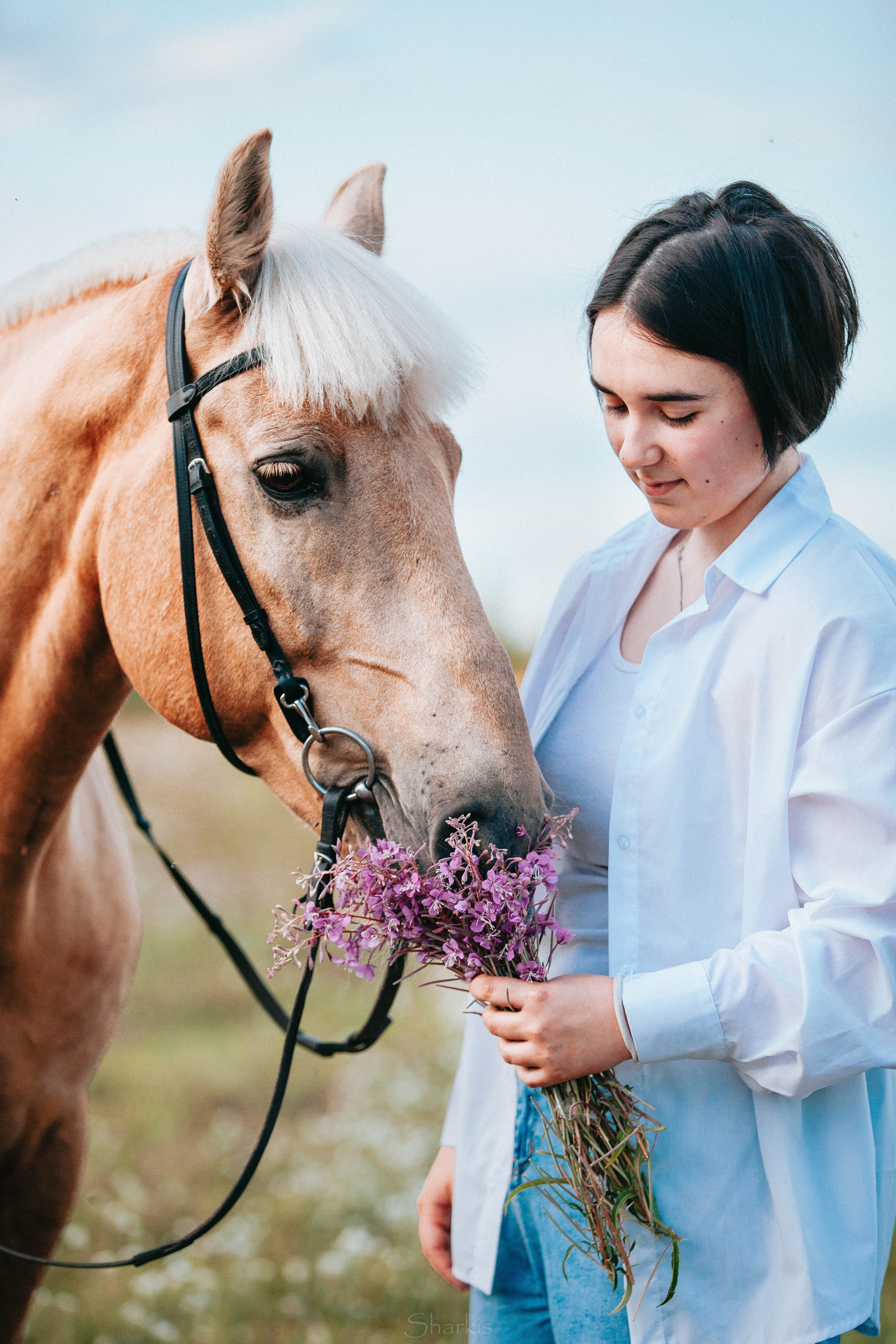 Алина и Гешефт. Главная