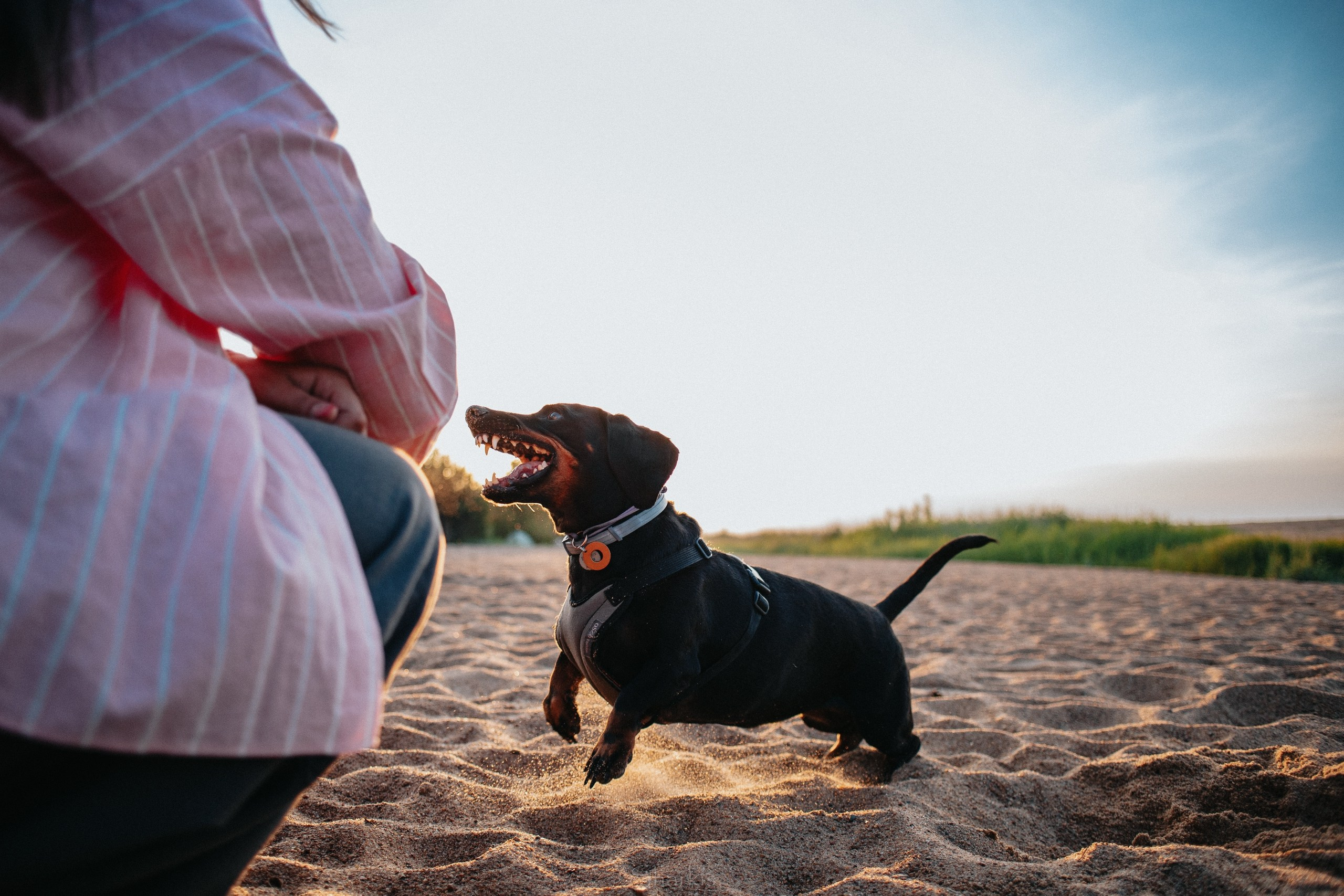 Аня и Алиса. Главная