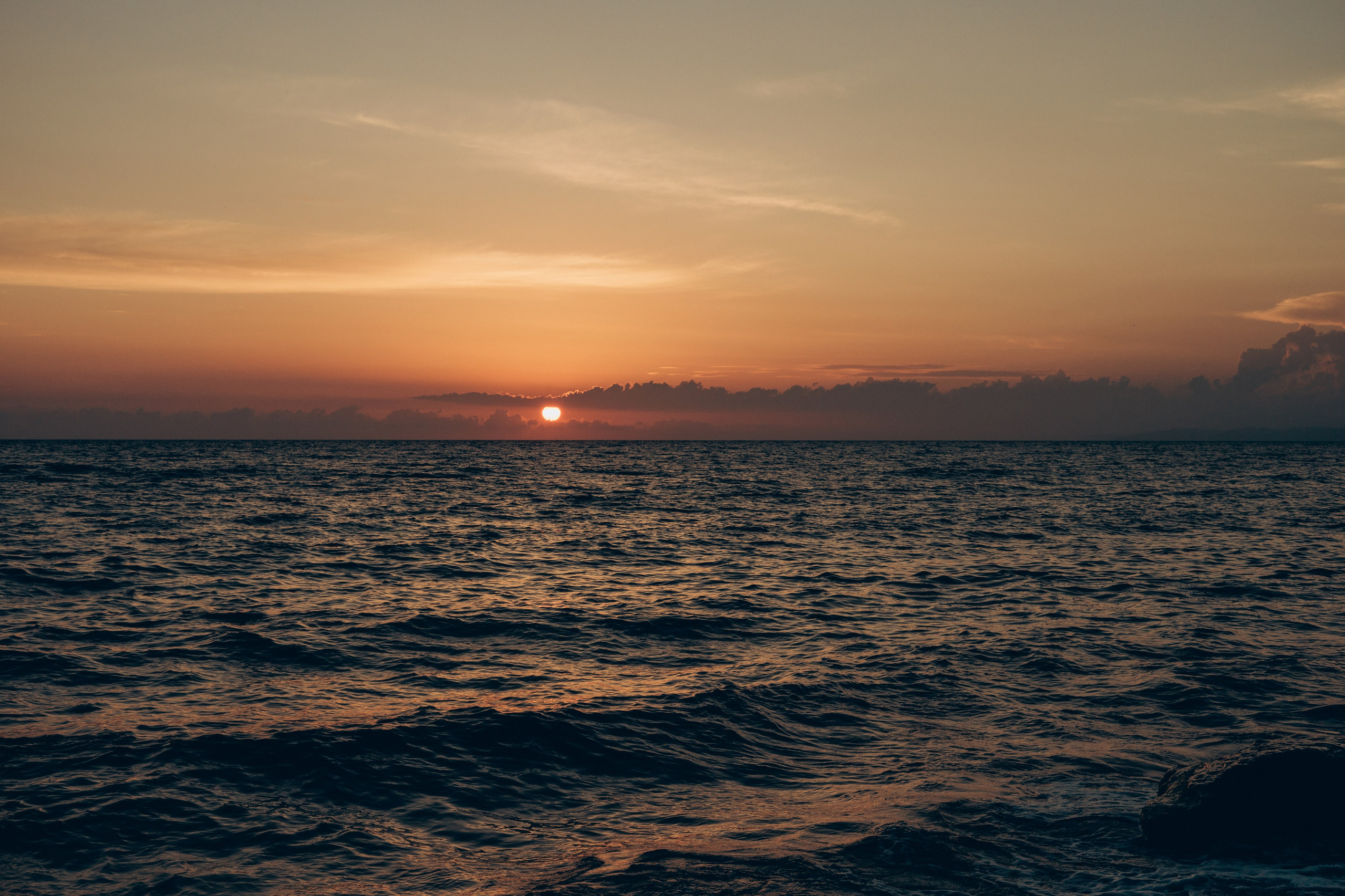 Владимир и Полина