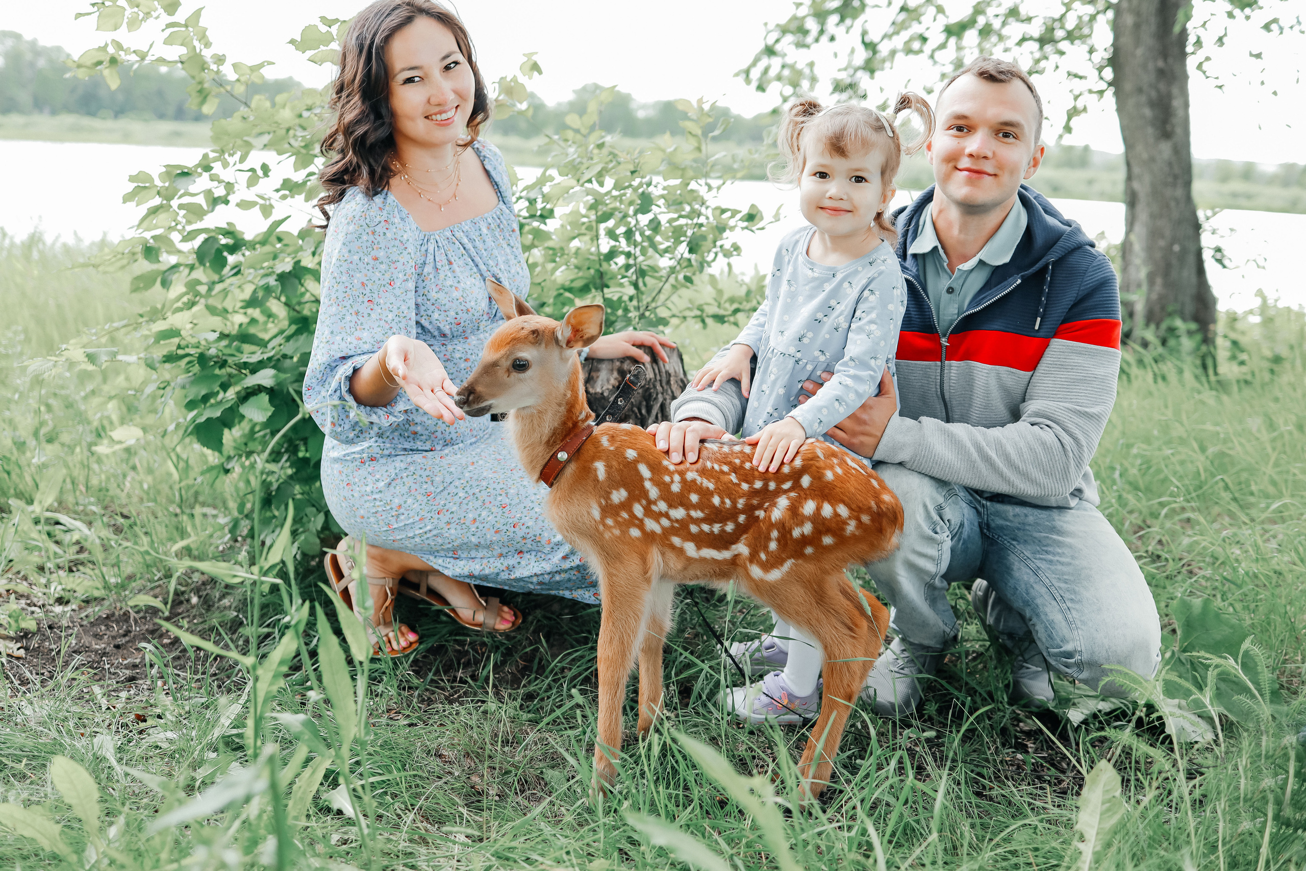 Фотосессия с оленем Бэмби. Иванова Ирина Свадебный и семейный фотограф г. Уфа