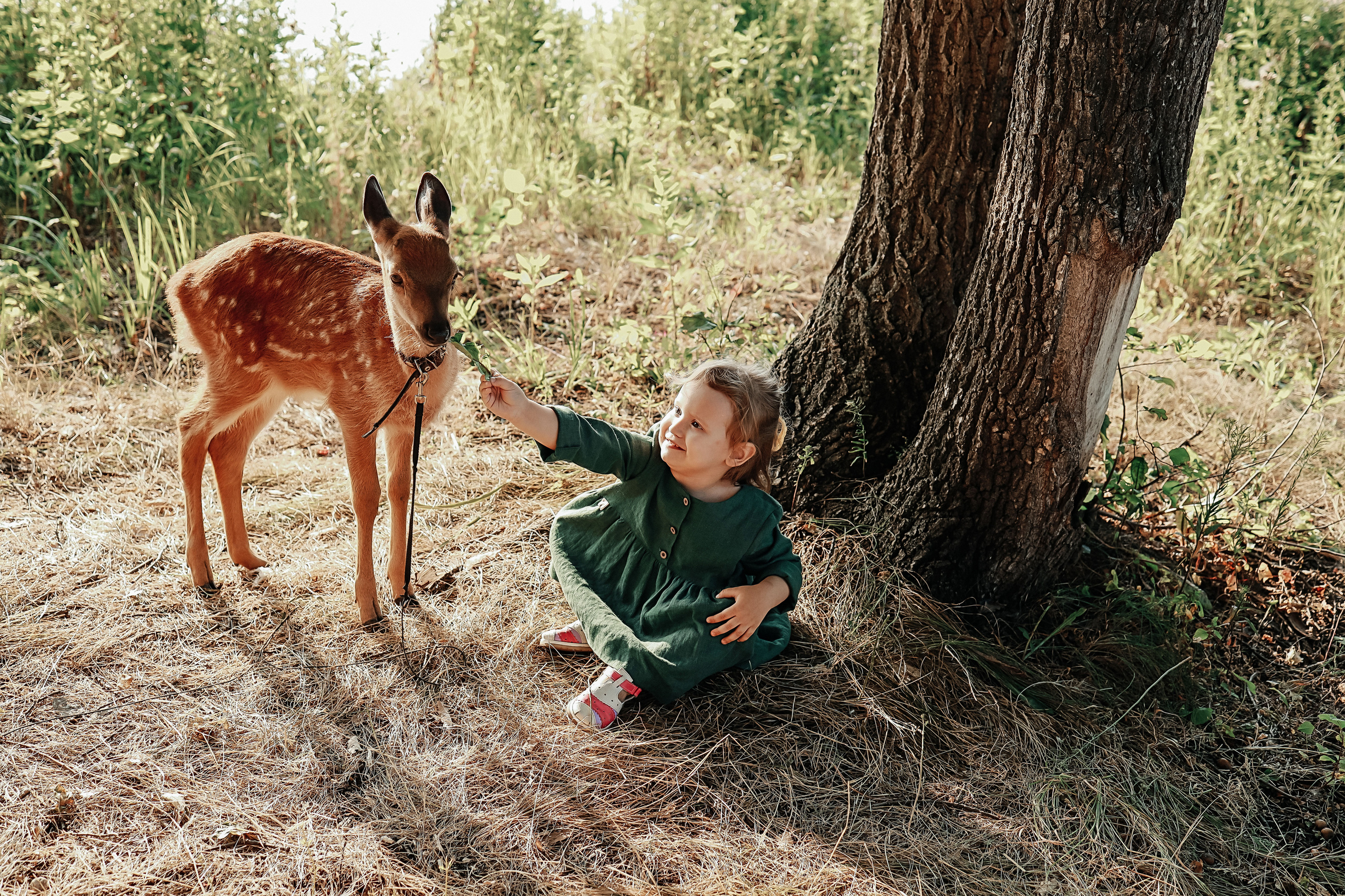 Анонсы съемок. Иванова Ирина Свадебный и семейный фотограф г. Уфа