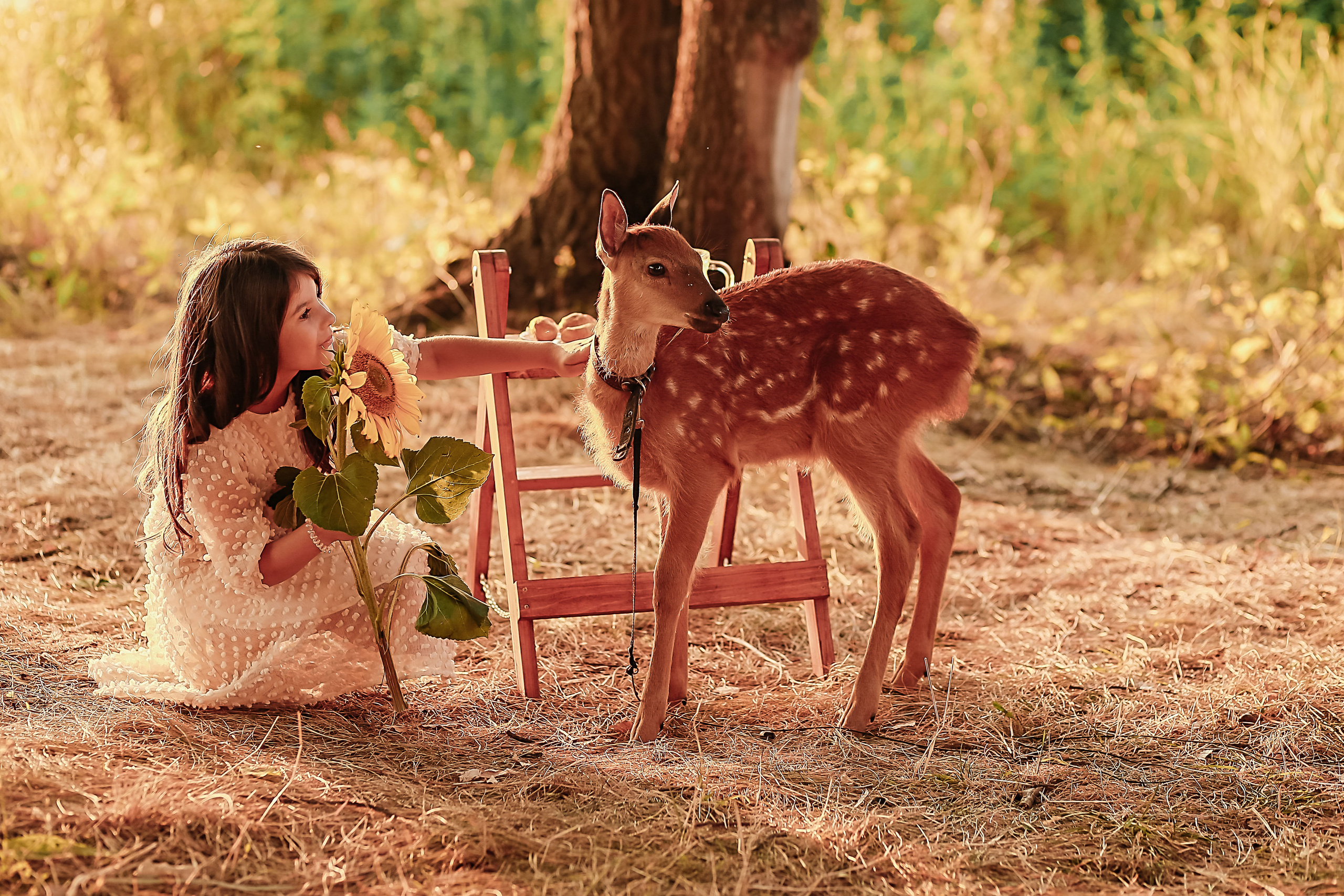 Фотосессия с оленем. Иванова Ирина Свадебный и семейный фотограф г. Уфа