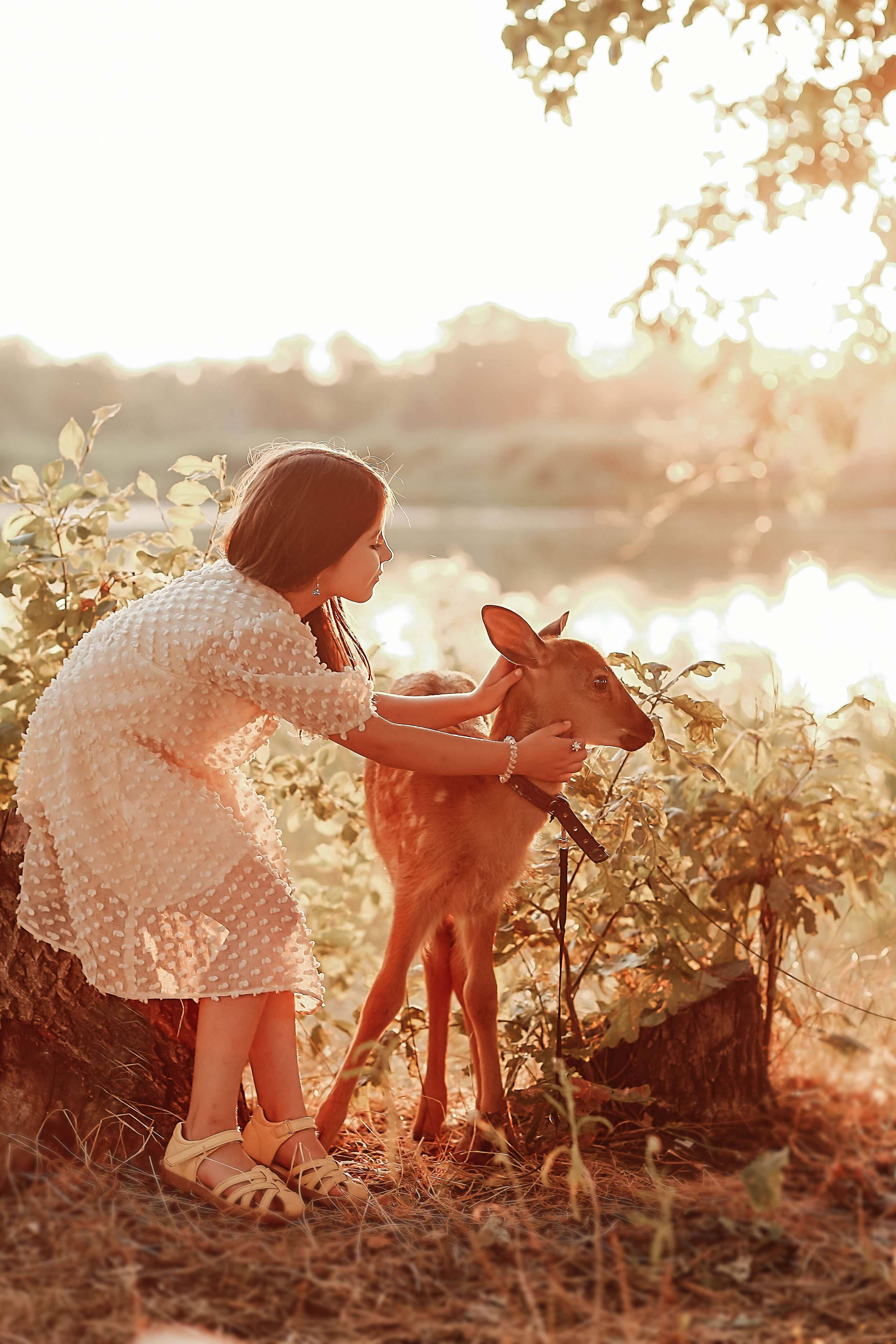 Фотосессия с оленем. Иванова Ирина Свадебный и семейный фотограф г. Уфа