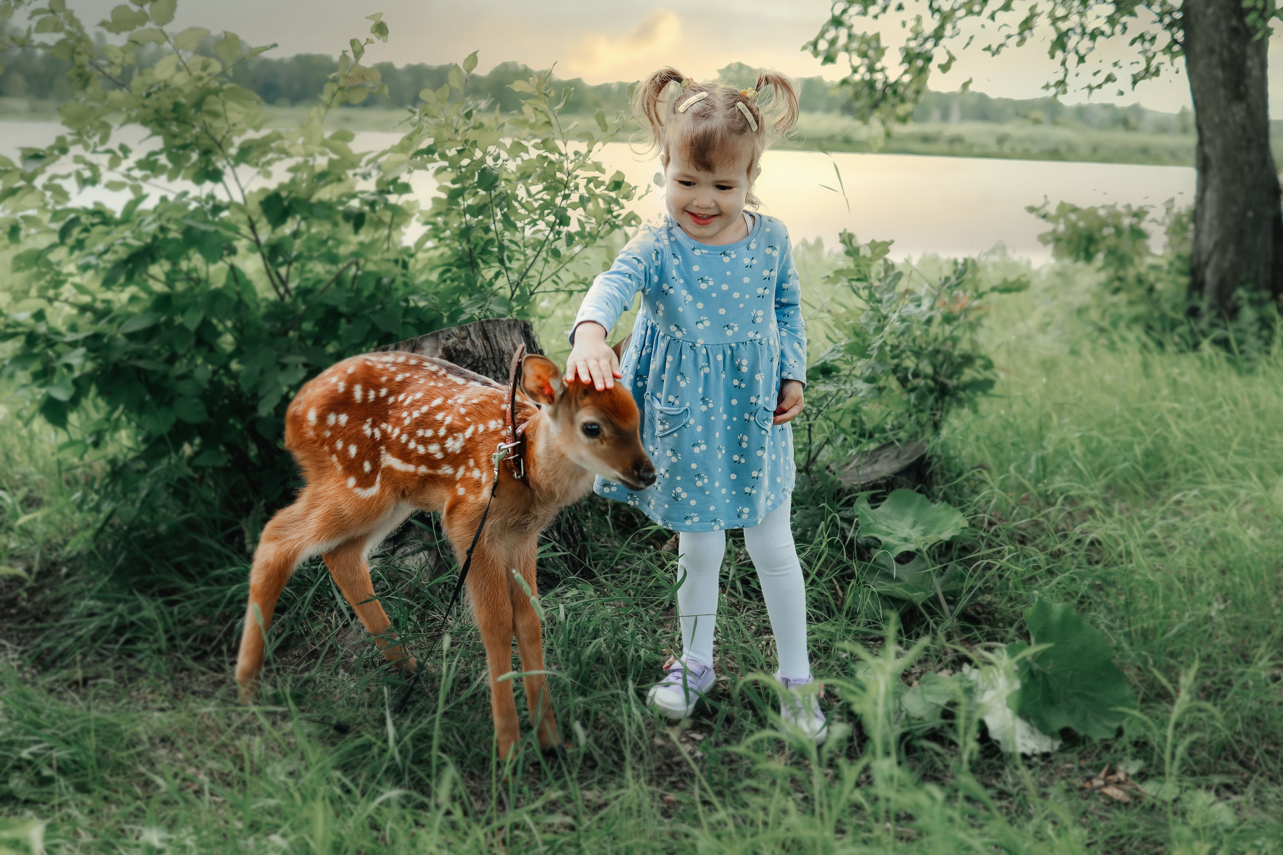 Фотосессия с оленем Бэмби. Иванова Ирина Свадебный и семейный фотограф г. Уфа