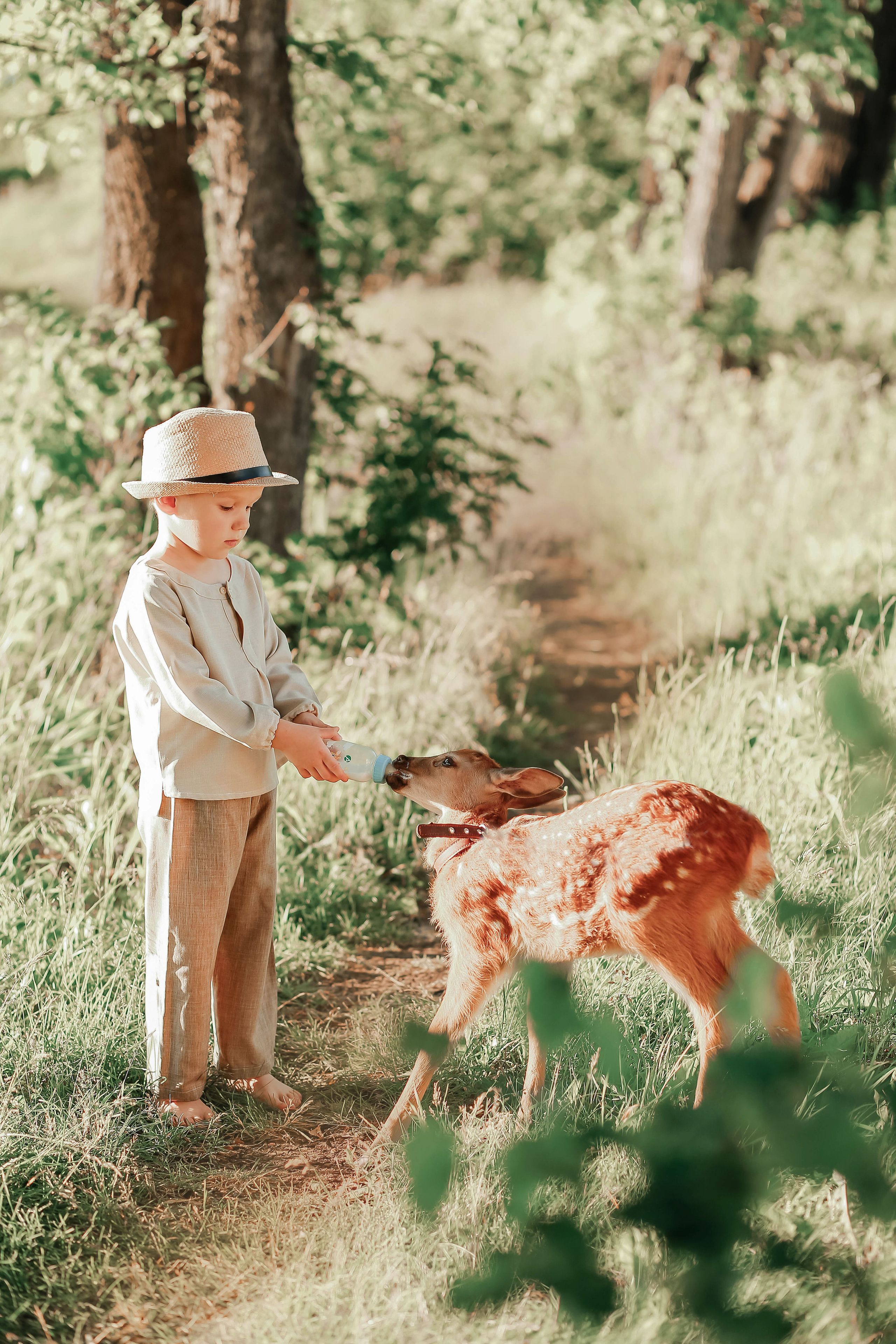 Олененок Бэмби. Иванова Ирина Свадебный и семейный фотограф г. Уфа