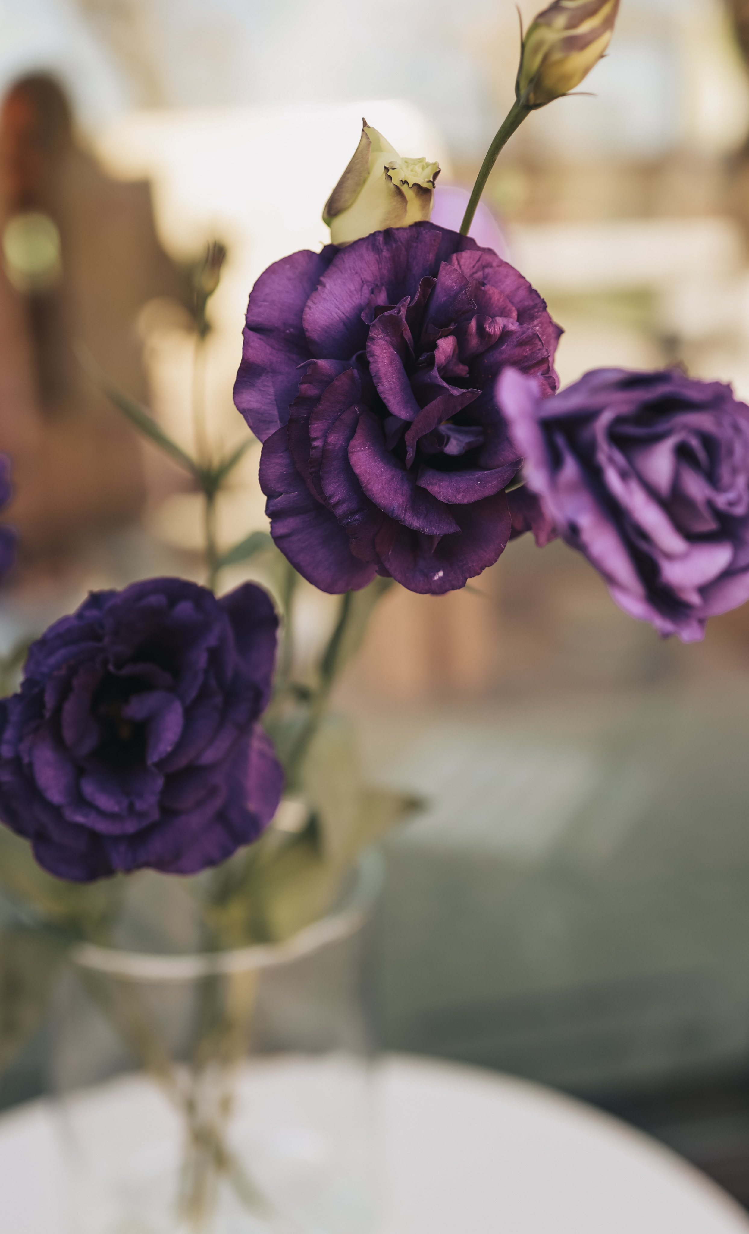 Съемка в Жк Аристократ. Иванова Ирина Свадебный и семейный фотограф г. Уфа