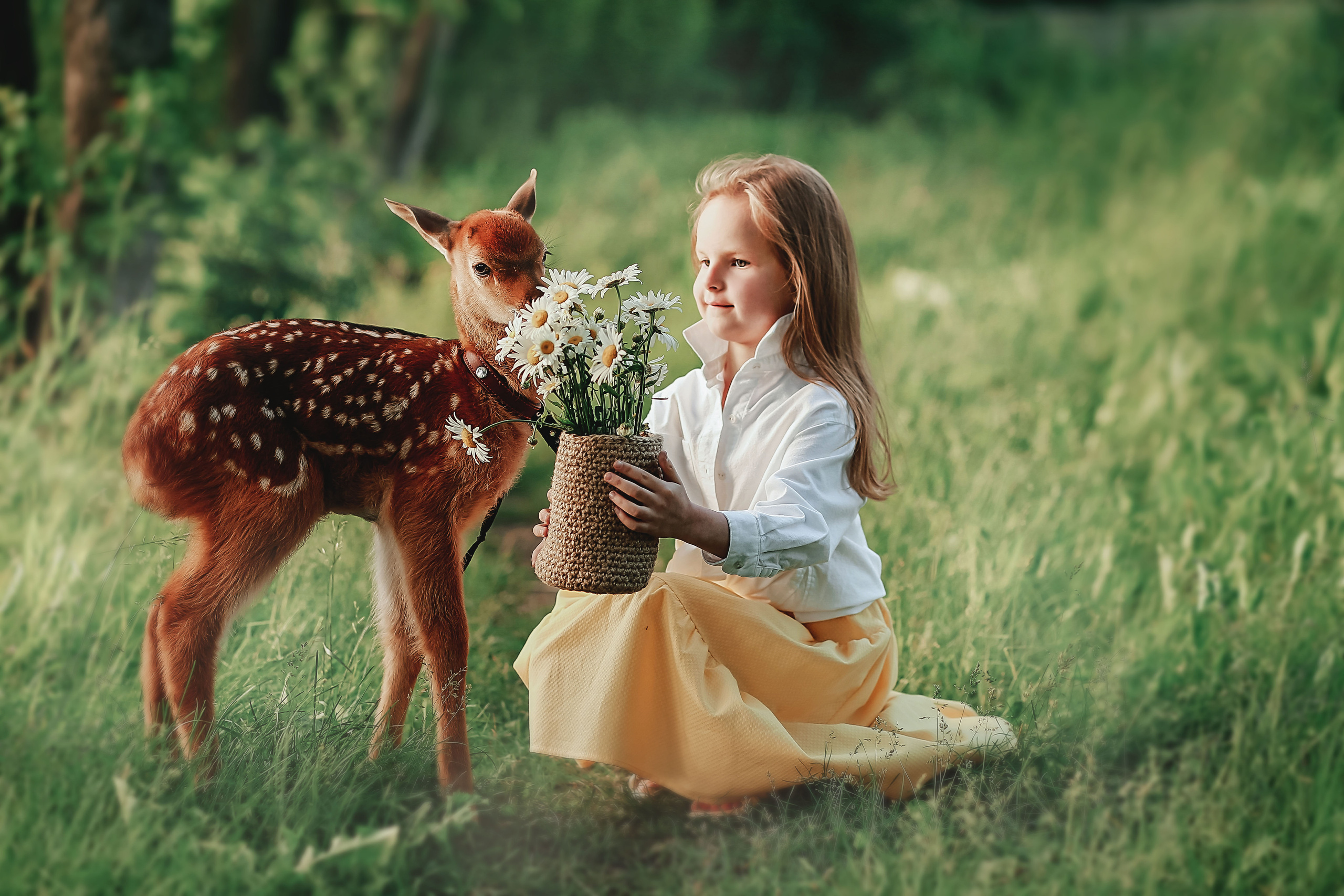 Фотосессия с олененком. Иванова Ирина Свадебный и семейный фотограф г. Уфа