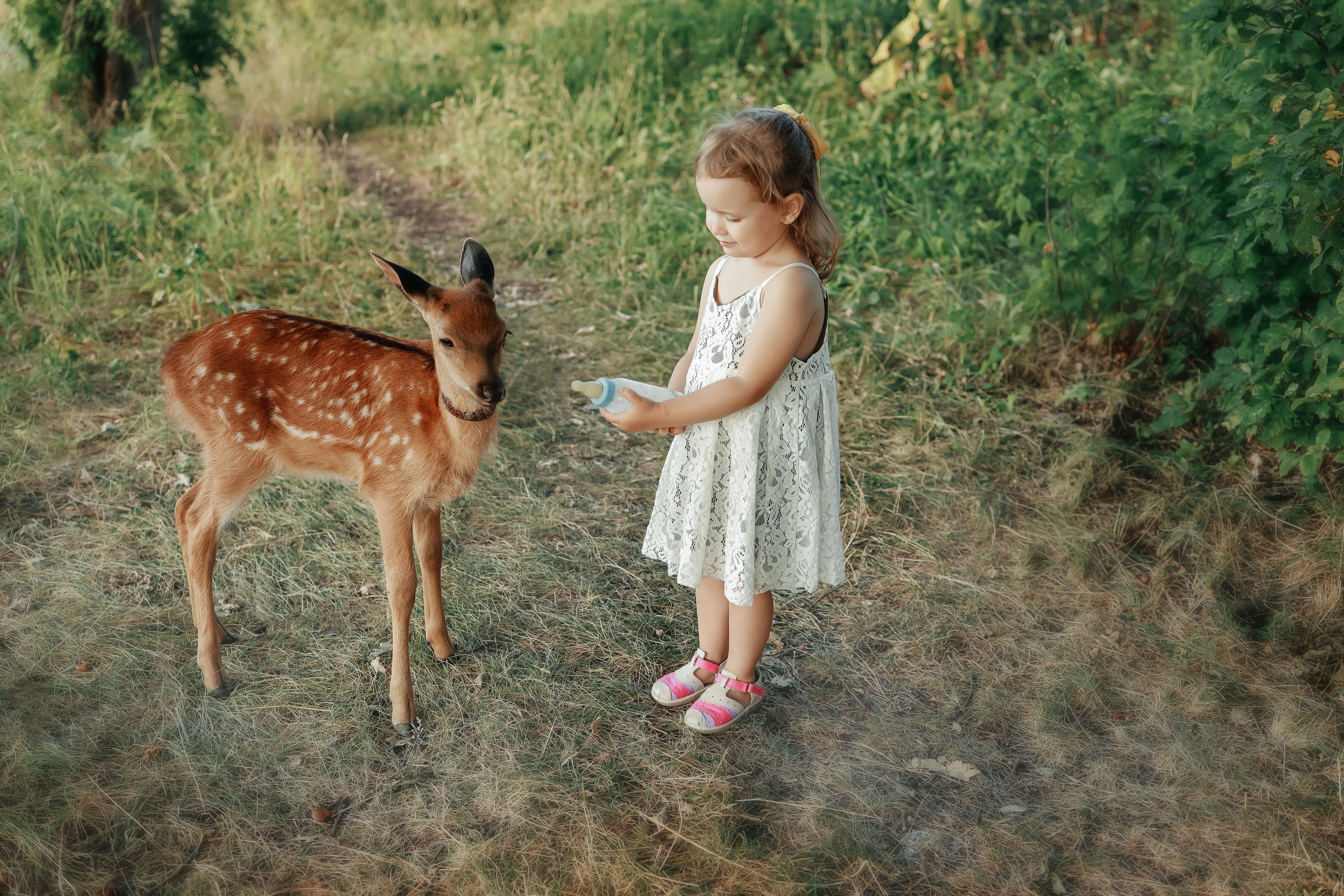 Фотосессия с оленем!. Иванова Ирина Свадебный и семейный фотограф г. Уфа