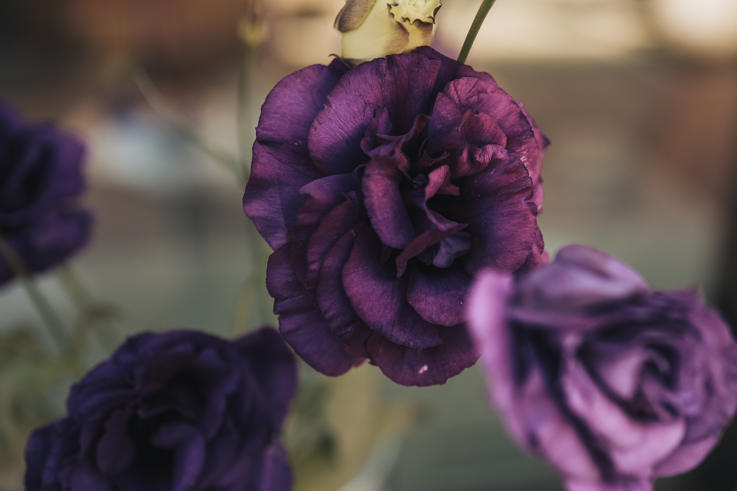 Съемка в Жк Аристократ. Иванова Ирина Свадебный и семейный фотограф г. Уфа