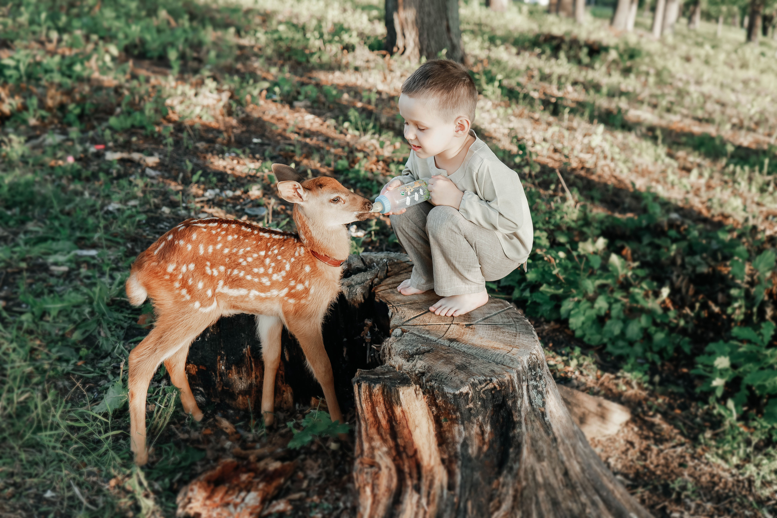 Олененок Бэмби. Иванова Ирина Свадебный и семейный фотограф г. Уфа