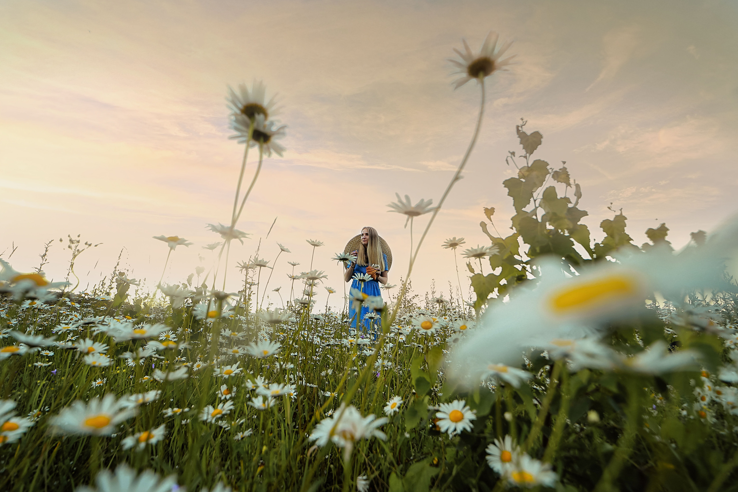 Фотосессия в ромашках. Иванова Ирина Свадебный и семейный фотограф г. Уфа
