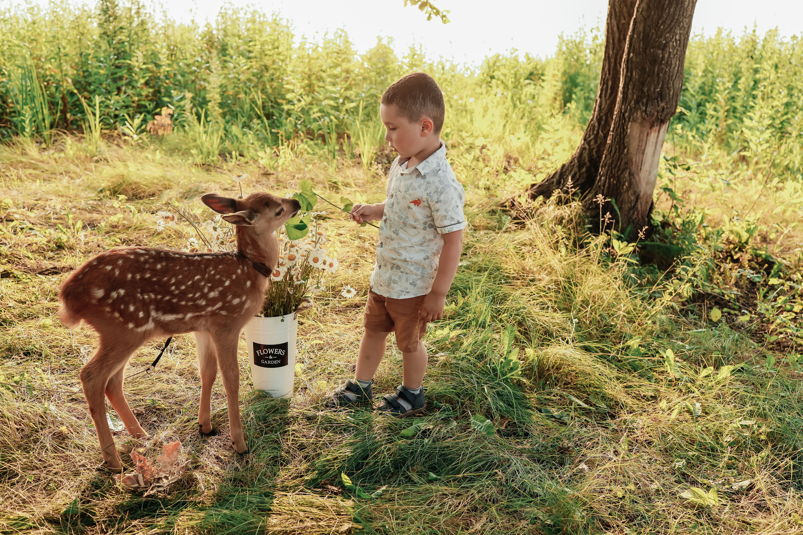 Анонсы съемок. Иванова Ирина Свадебный и семейный фотограф г. Уфа