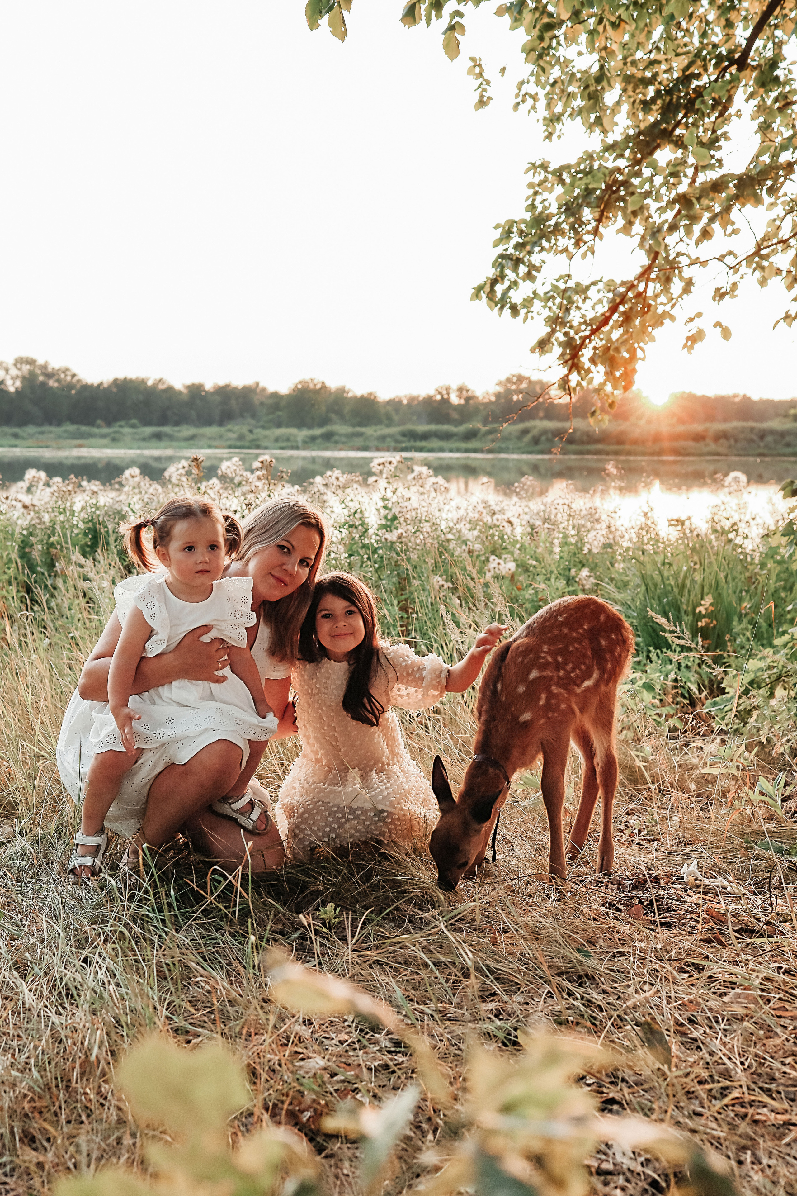 Фотосессия с оленем. Иванова Ирина Свадебный и семейный фотограф г. Уфа