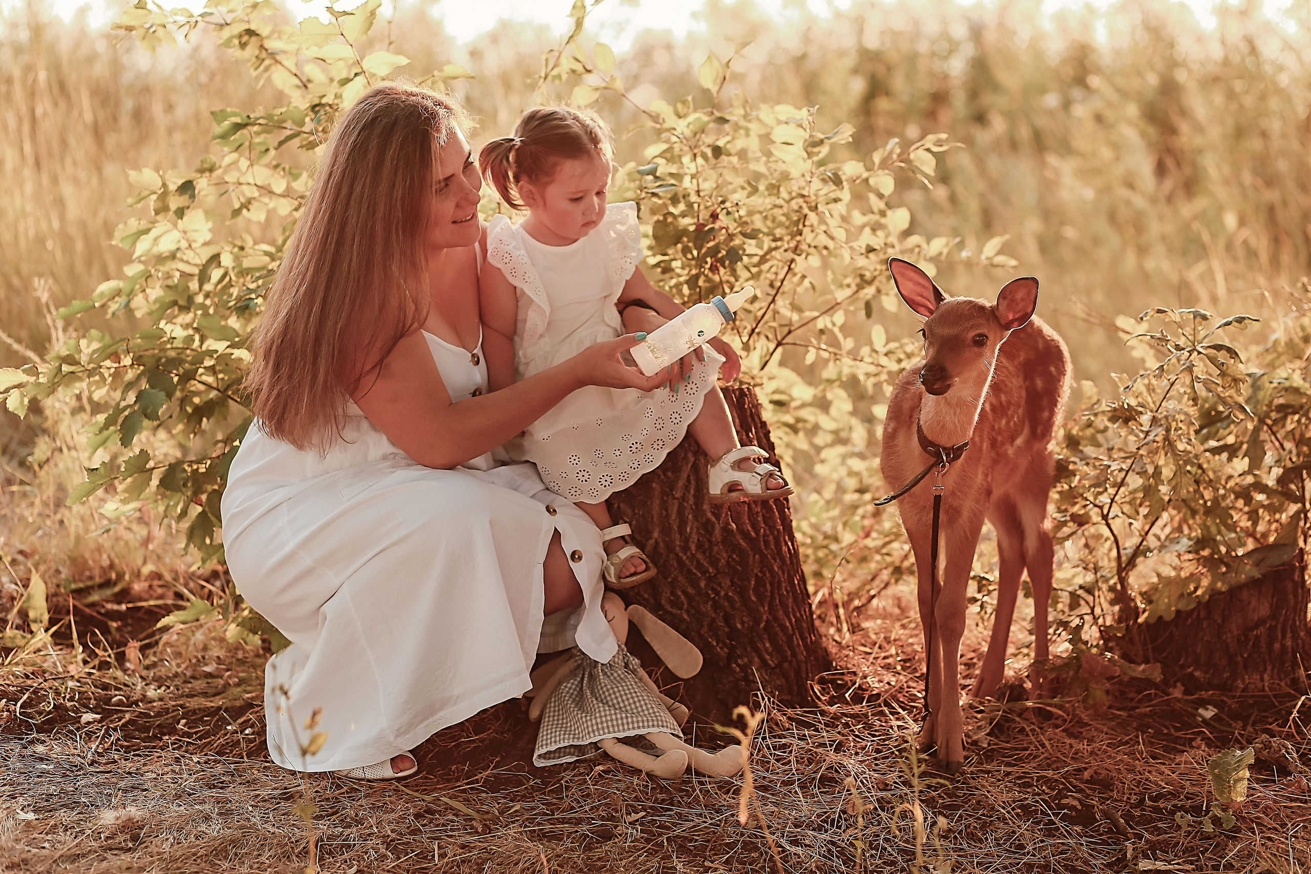 Фотосессия с оленем. Иванова Ирина Свадебный и семейный фотограф г. Уфа